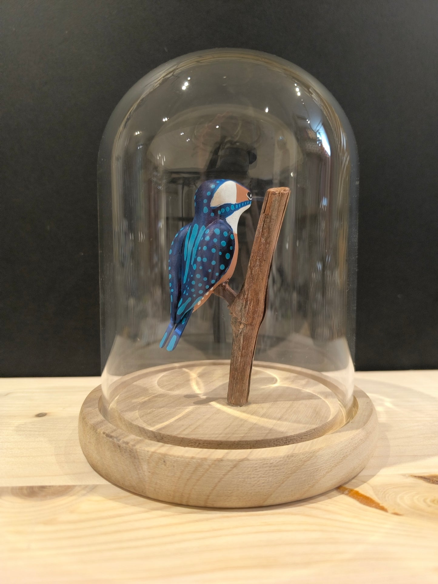 MARTIN PECHEUR sous cloche de verre, façon "cabinet de curiosité"
