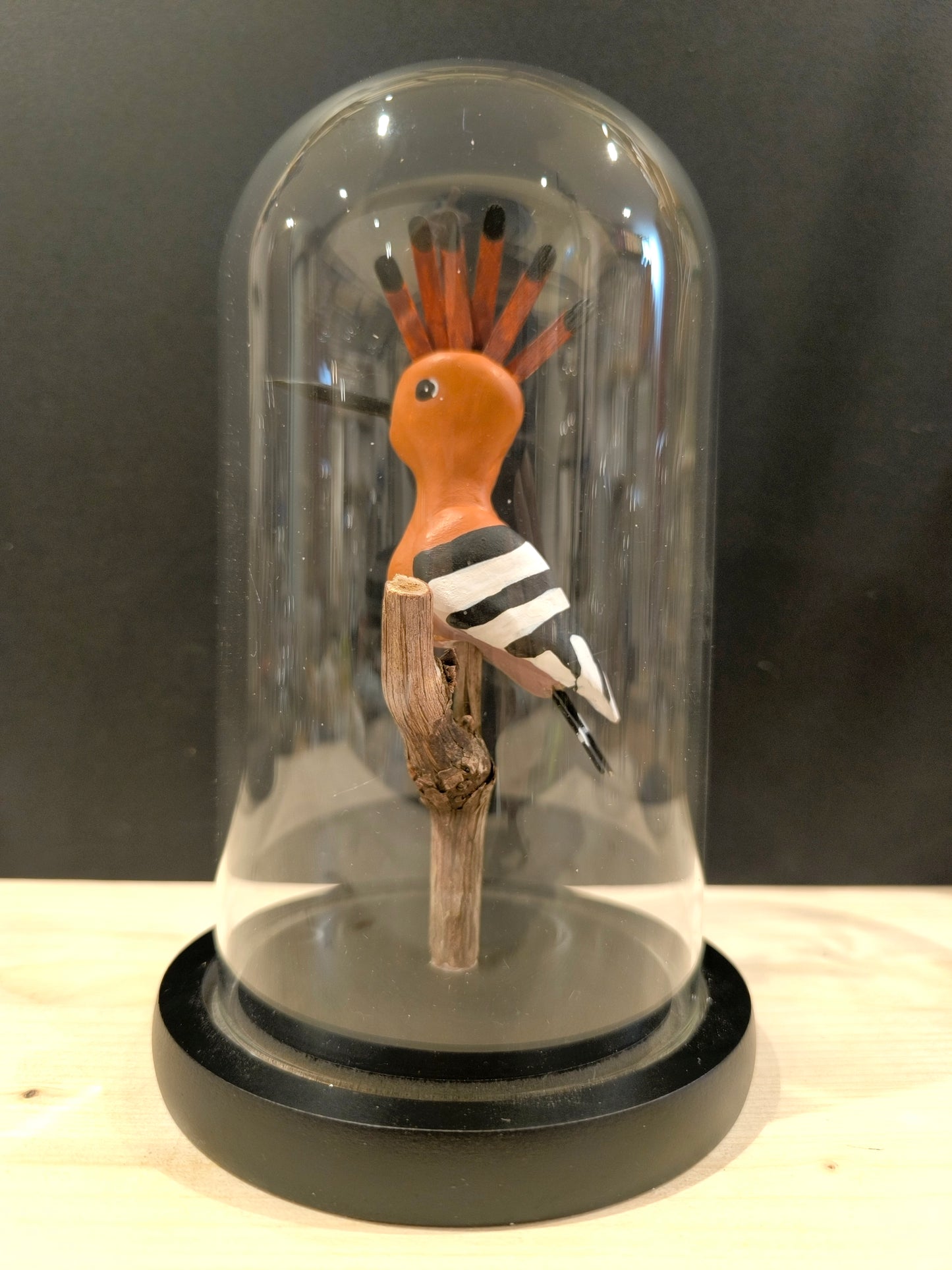 Hoopoe Under glass bell, "curiosity cabinet" style
