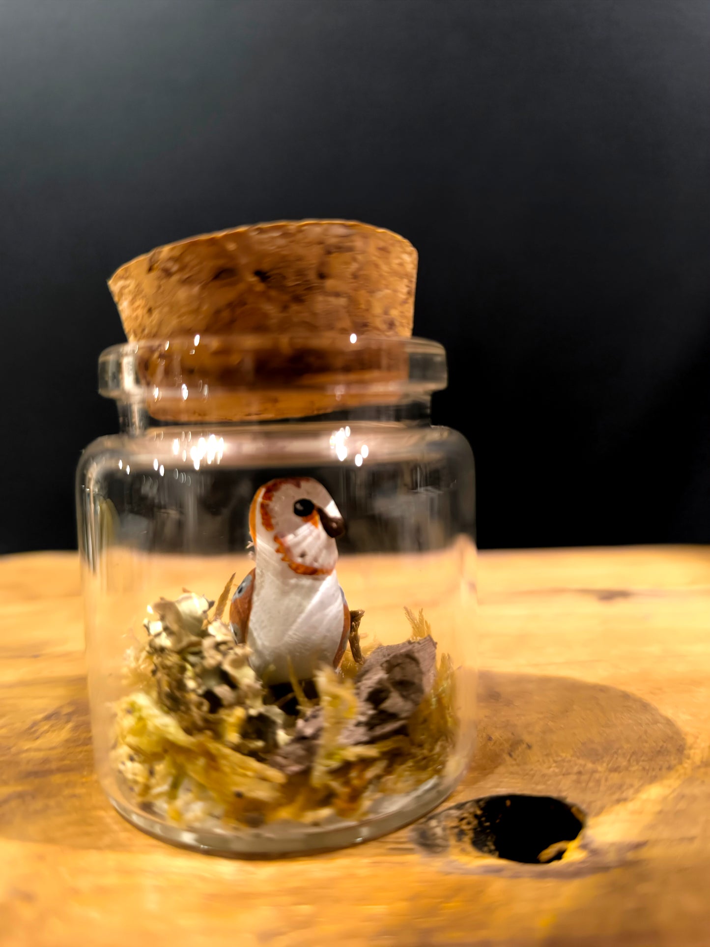 Chouette effraie-Miniature sous flacon "Minuscule"