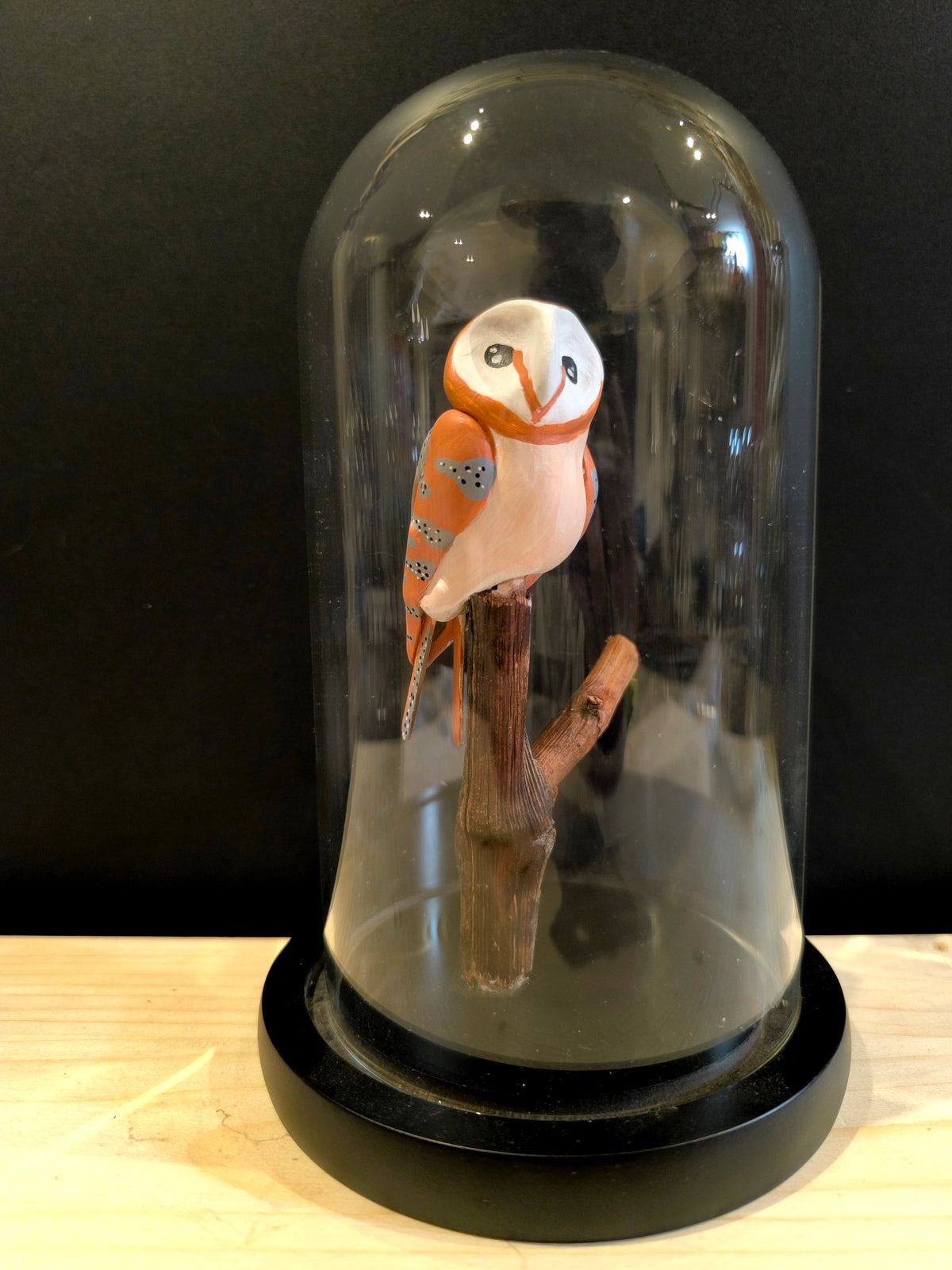 CHOUETTE EFFRAIE sous cloche de verre, façon cabinet de curiosité