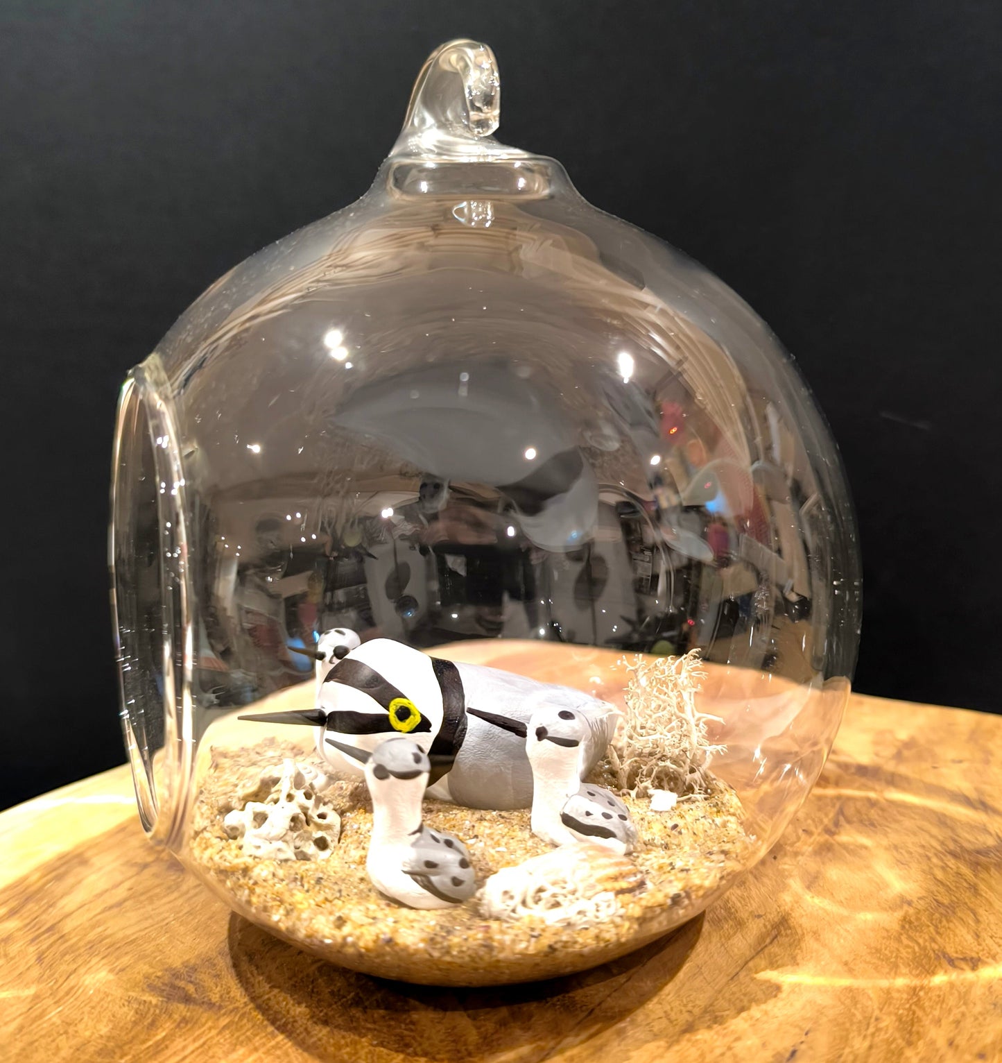 Petit gravelot et ses petits 