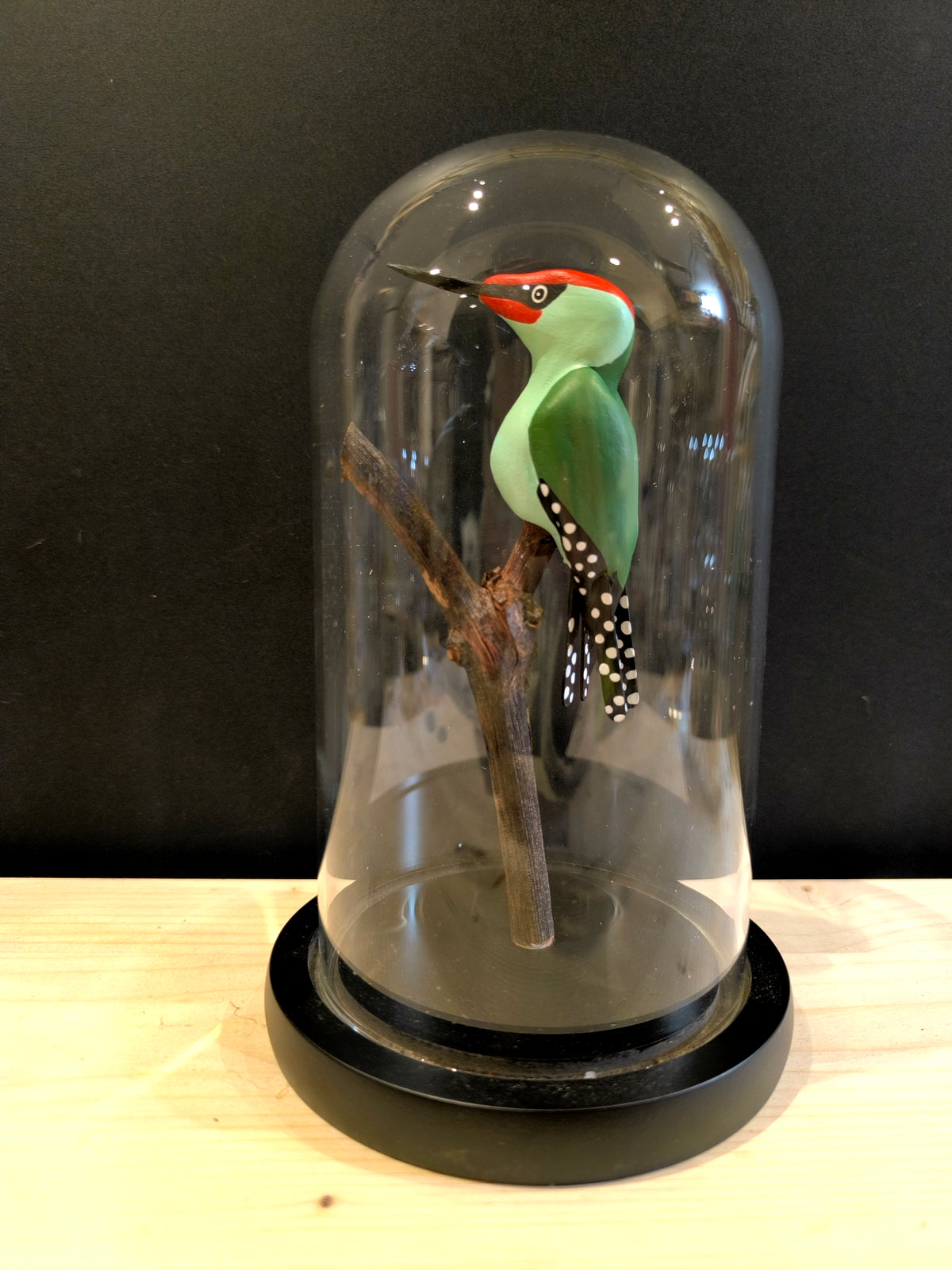 PIC VERT sous cloche de verre, façon "cabinet de curiosité"