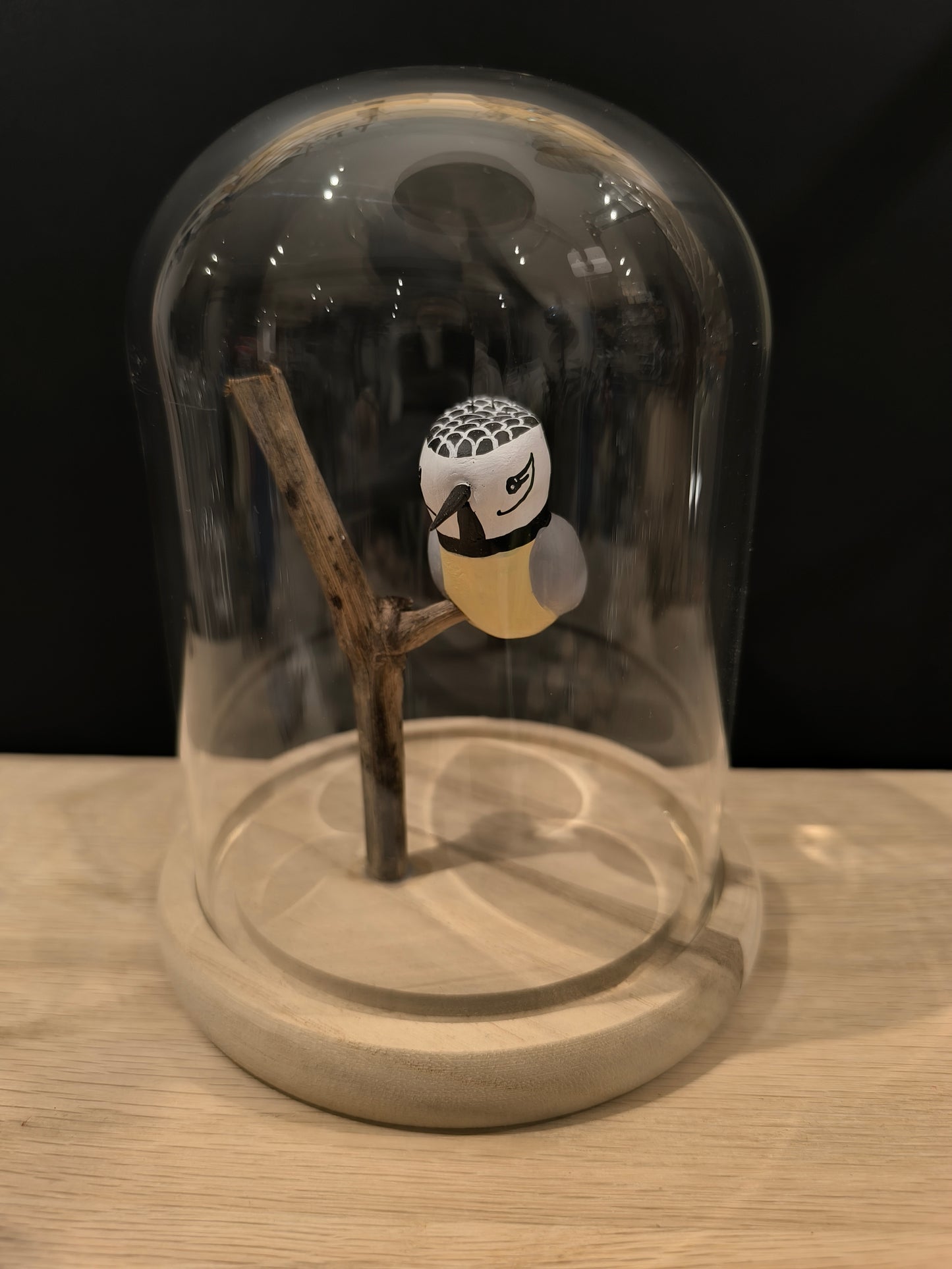 MESANGE HUPPEE sous cloche de verre façon "Cabinet de curiosité"