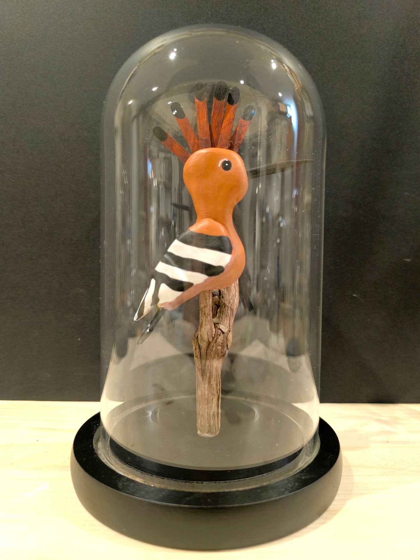 Hoopoe Under glass bell, "curiosity cabinet" style