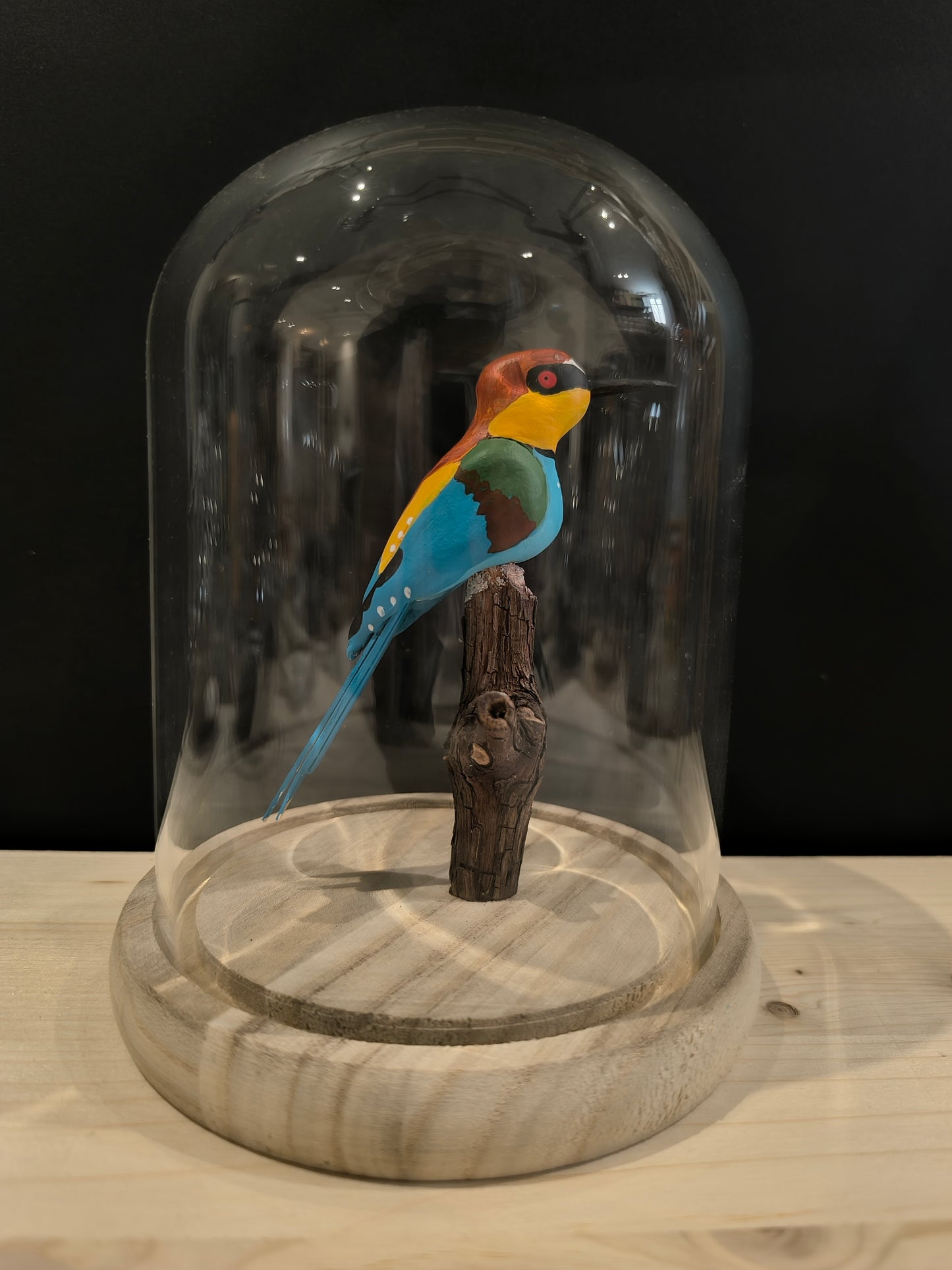 EUROPEAN BEE-EATER under a glass bell jar, like a cabinet of curiosities