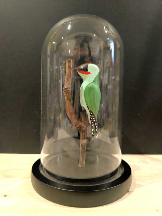 PIC VERT sous cloche de verre, façon "cabinet de curiosité"