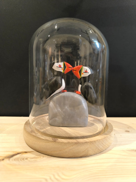 PUFFINS IN A COUPLE under a glass bell, like a cabinet of curiosities