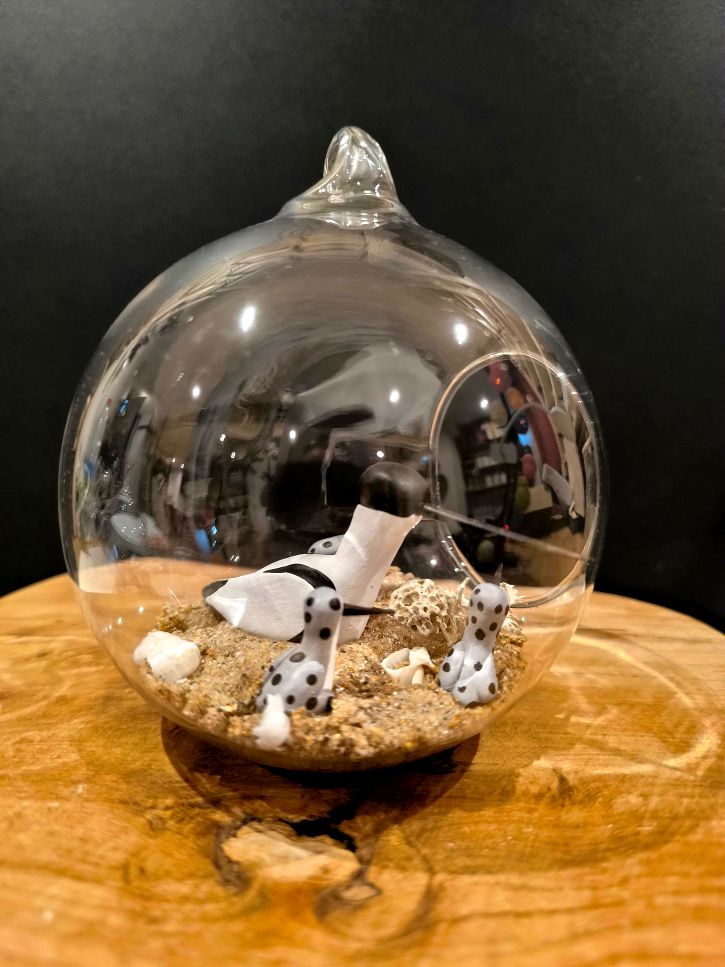 Avocette avec ses petits- Grande bulle de Rêve