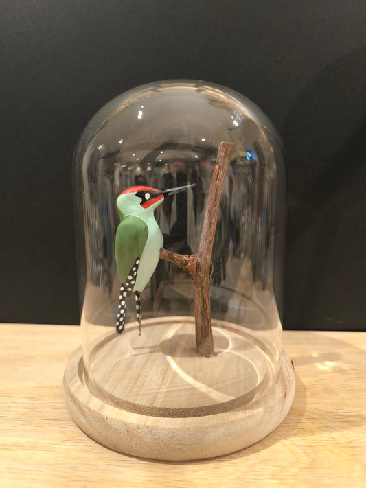 Figurine sculptée oiseau Pic vert sous cloche de verre décorative façon cabinet de curiosité.