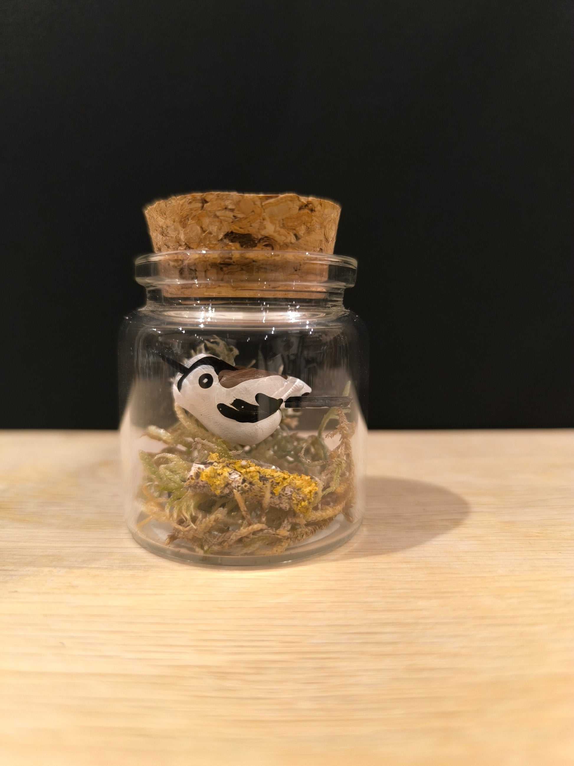 Figurine oiseau Orite à longue queue avec micro décor dans flacon de verre