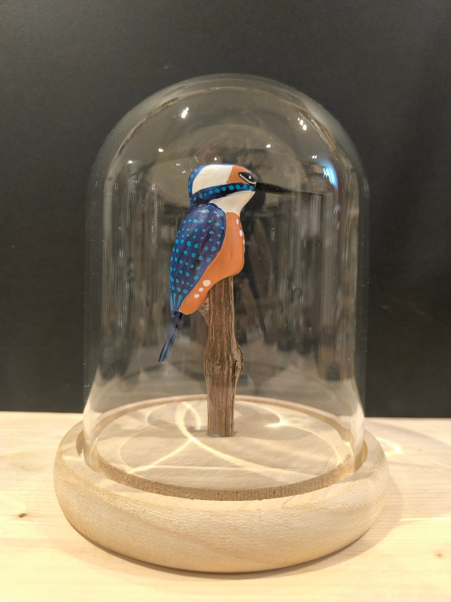 MARTIN PECHEUR sous cloche de verre, façon "cabinet de curiosité"