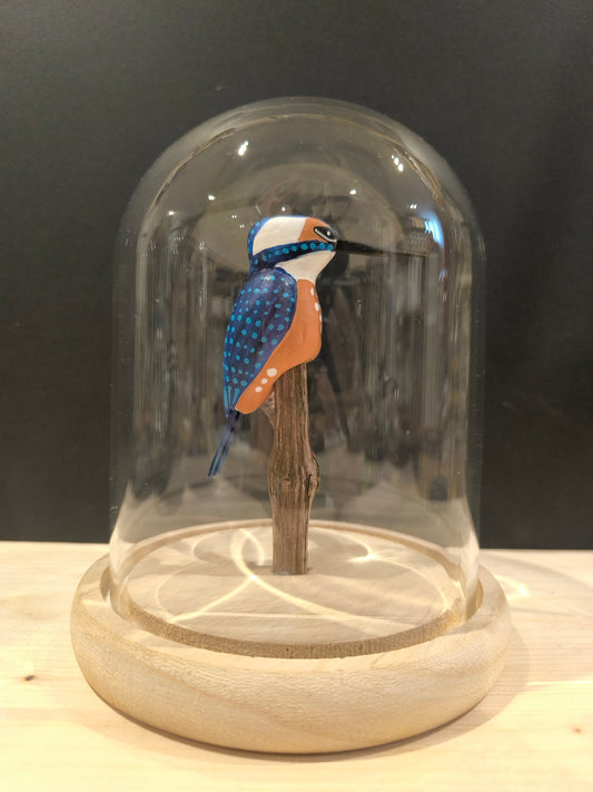 MARTIN PECHEUR sous cloche de verre, façon "cabinet de curiosité"