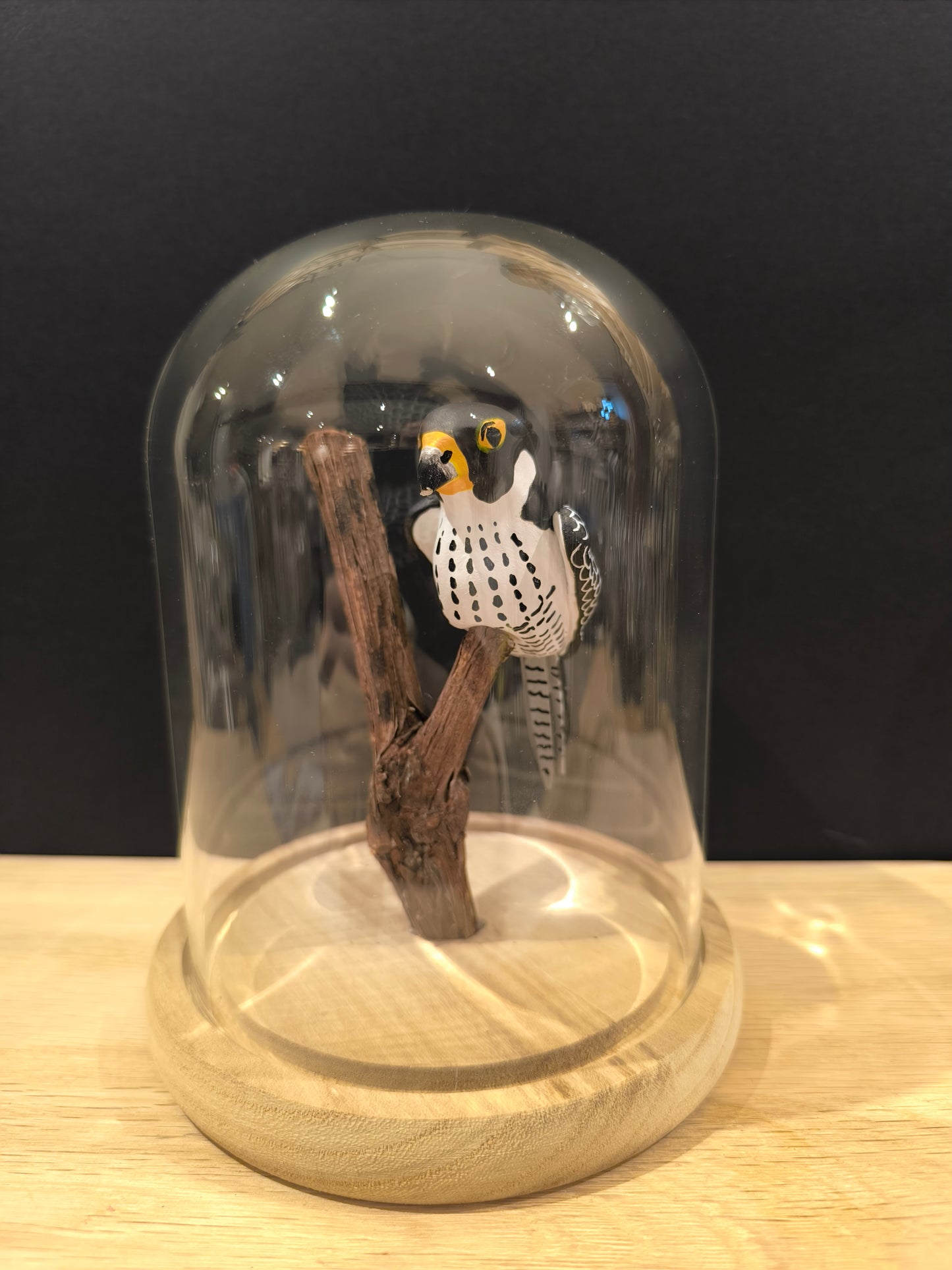 Figurine sculptée Faucon pèlerin sous cloche de verre