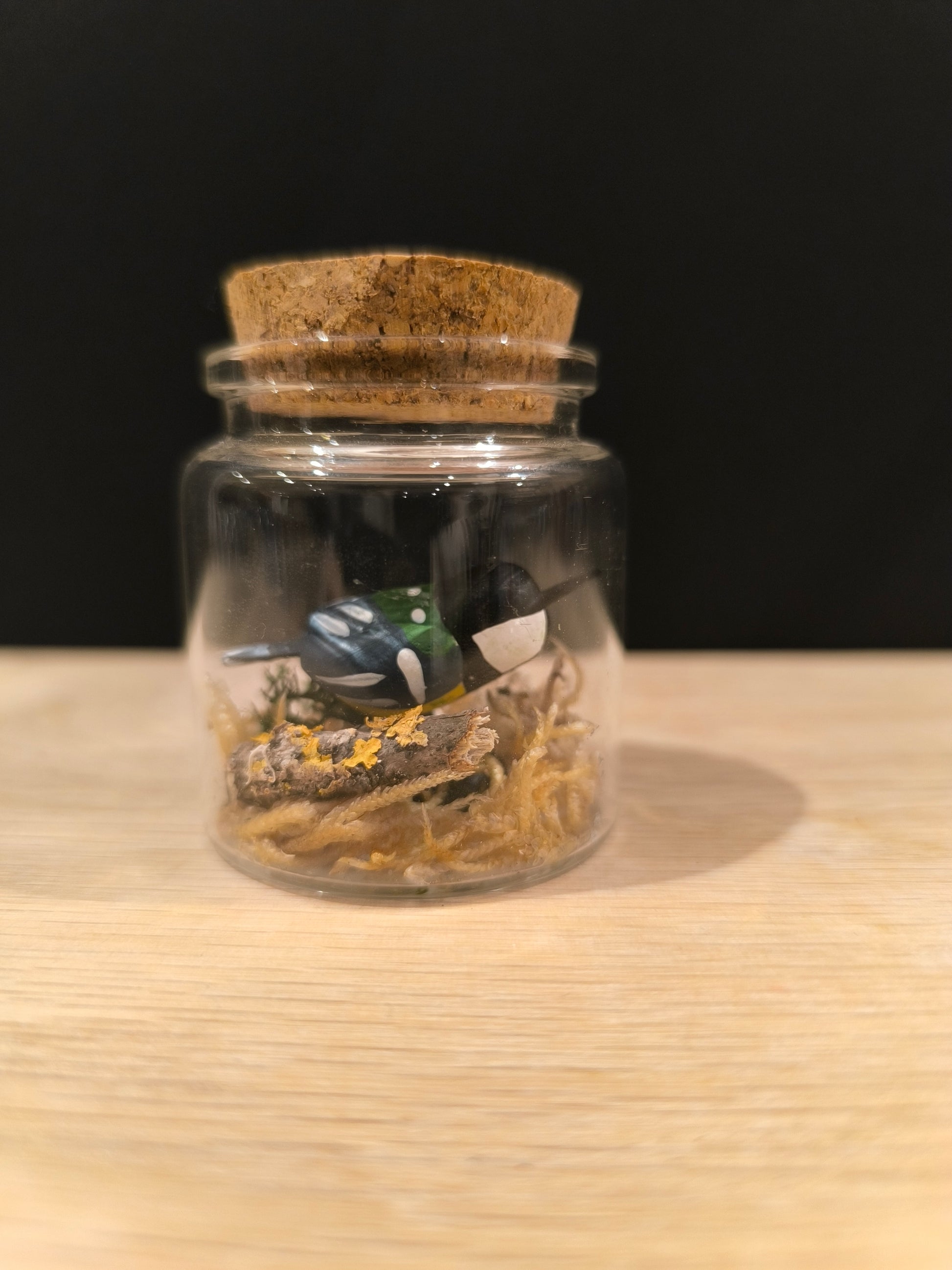 Figurine miniature sculptée Mésange charbonnière dans mini décor sous petit flacon de verre