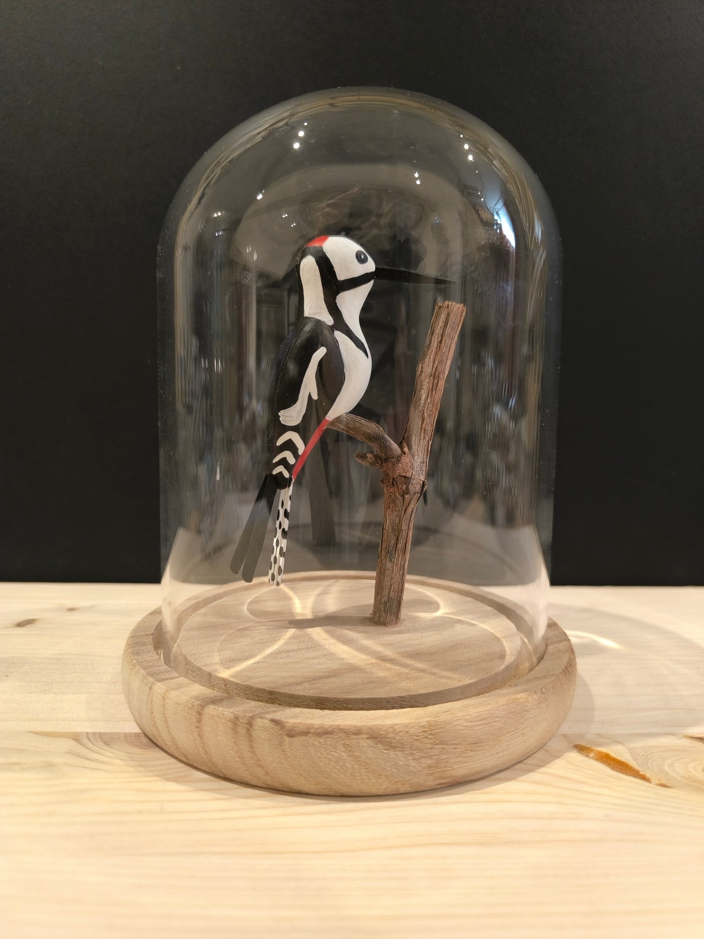 PIC EPEICHE sous cloche de verre façon "cabinet de curiosité"