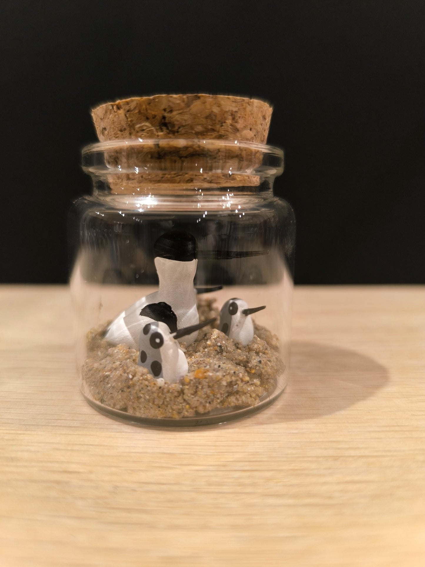 Avocette élégante et ses petits-Miniature sous flacon "Minuscule"