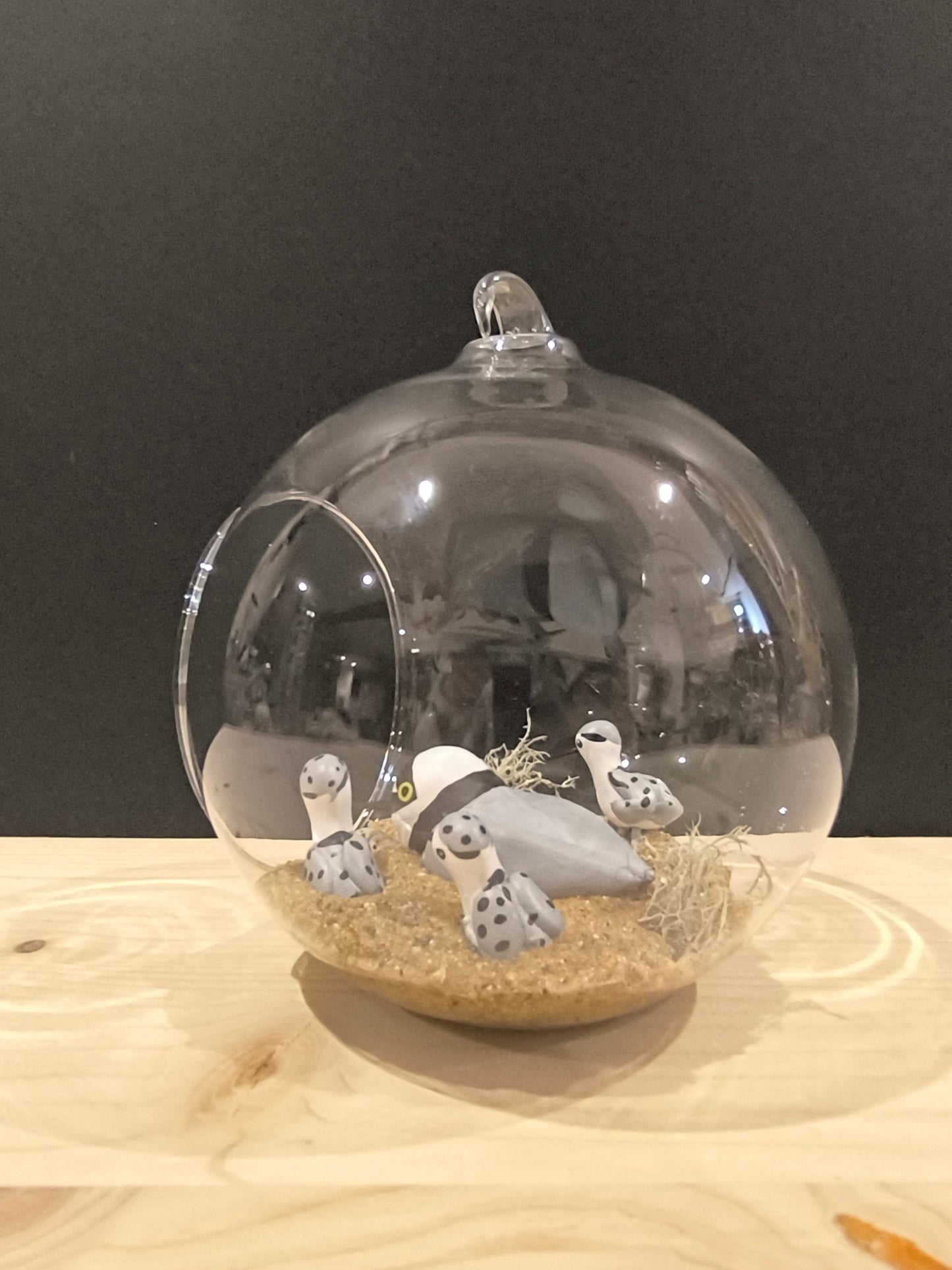 Petit gravelot avec ses petits- Grande bulle de Rêve