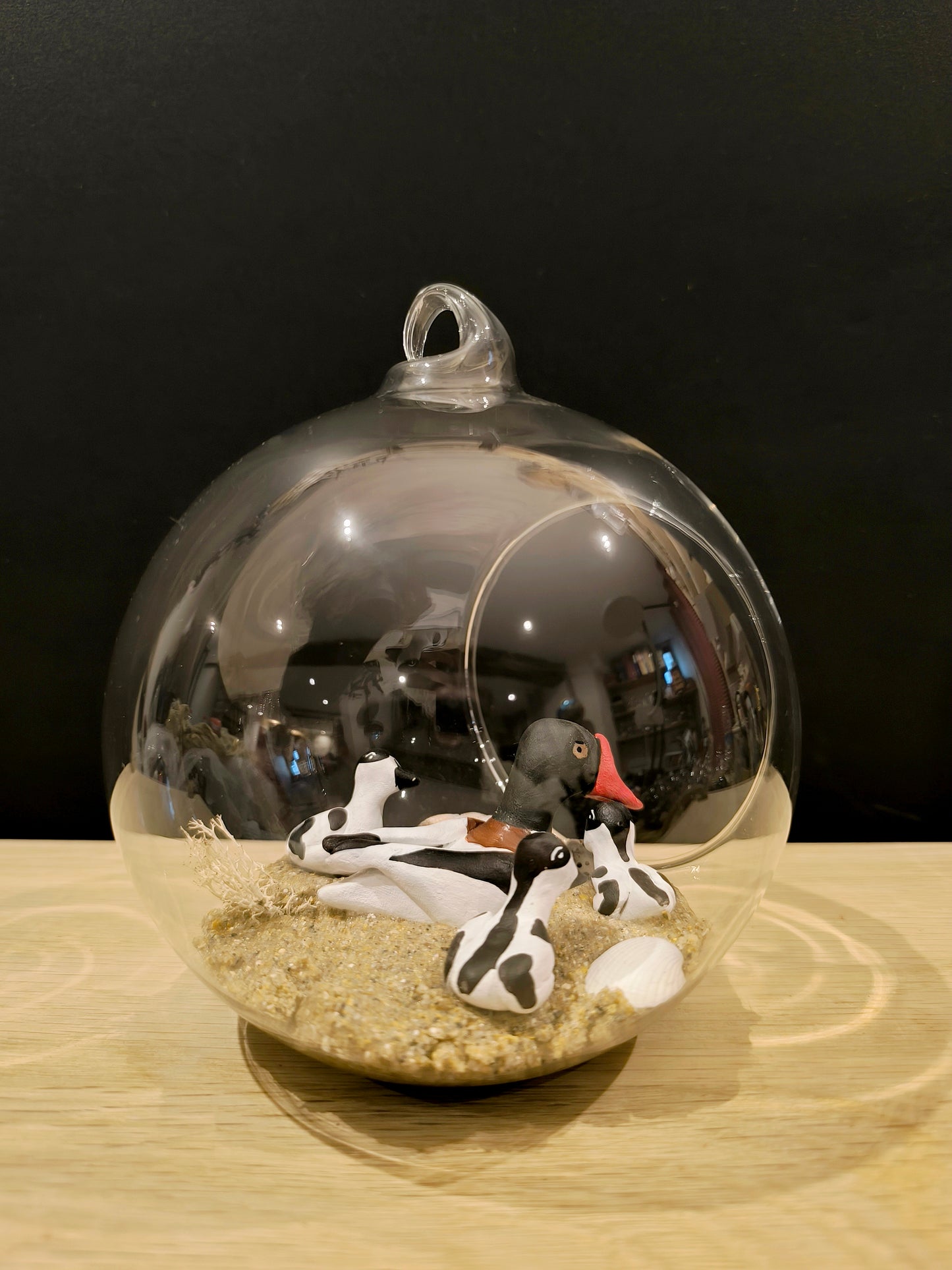 Tadorne de belon avec ses petits- Grande bulle de Rêve