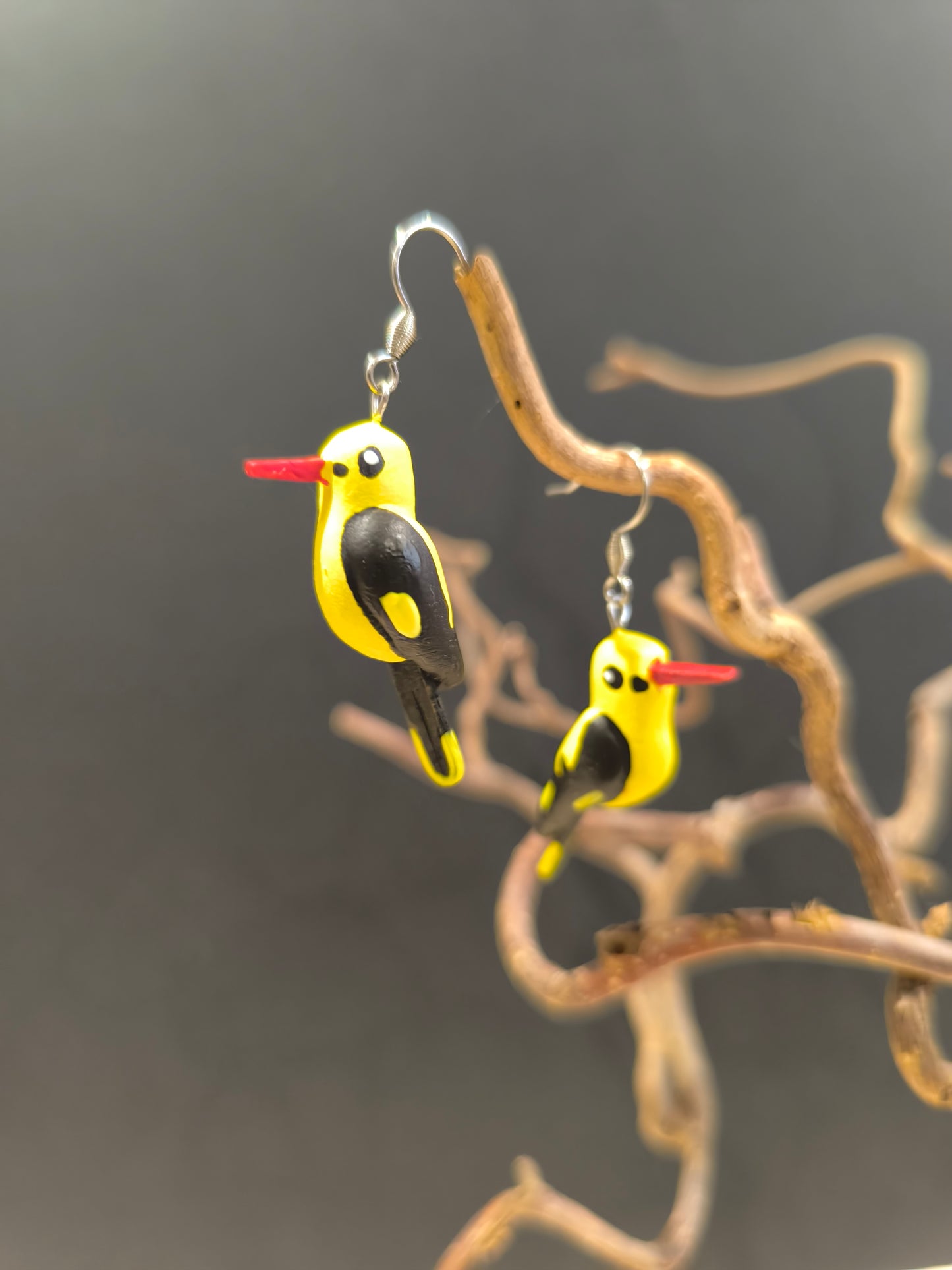 Loriot d'Europe- boucles d'oreilles oiseaux