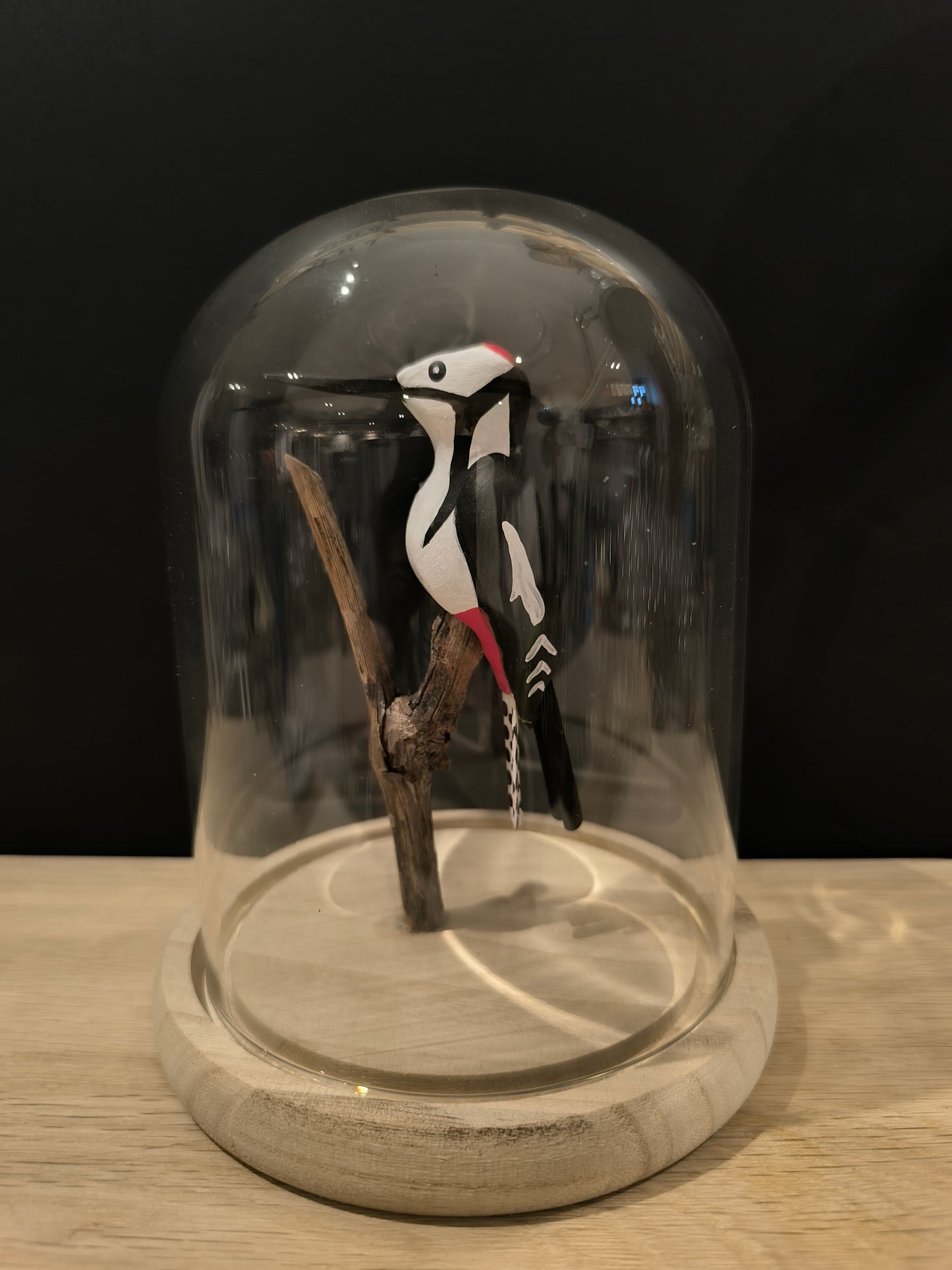GREAT SPOTTED WOODPECKER under glass bell jar in the style of a "curiosity cabinet"