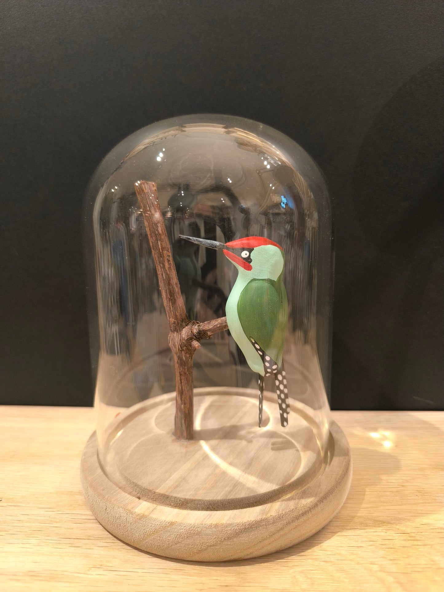 GREEN WOODPECKER under a glass bell jar, "curiosity cabinet" style 