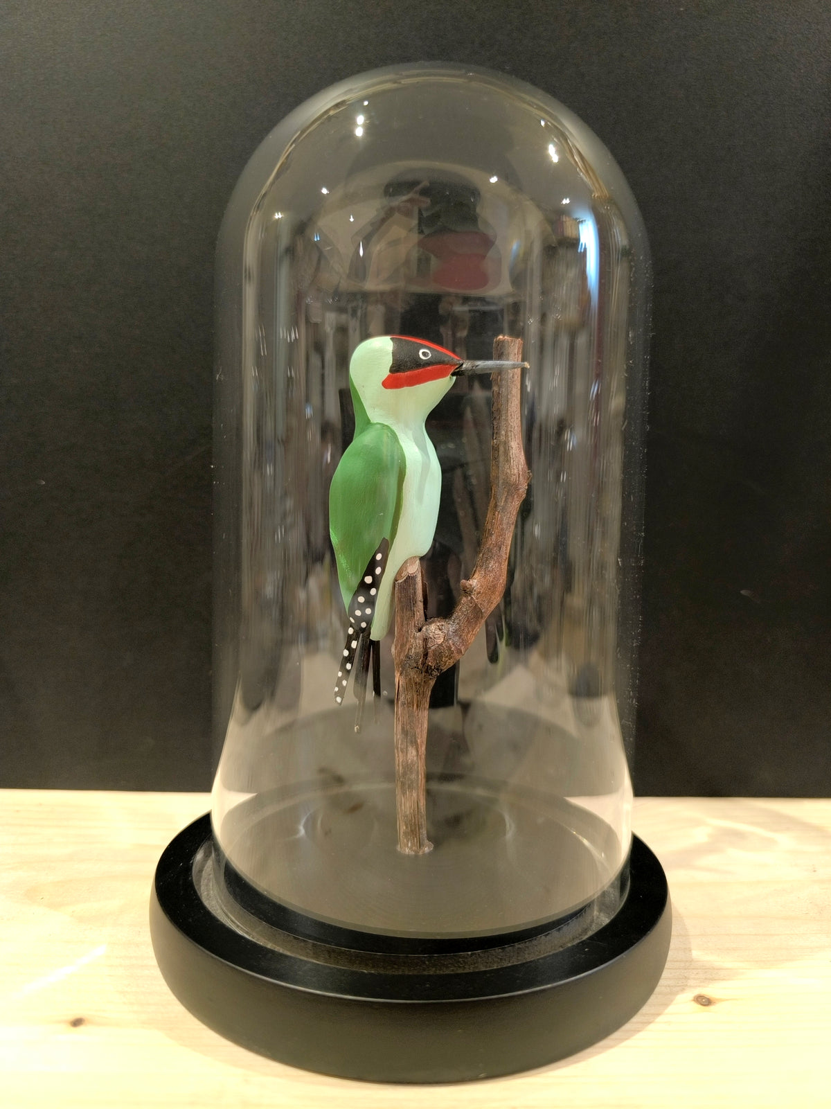 GREEN WOODPECKER under a glass bell jar, "curiosity cabinet" style 