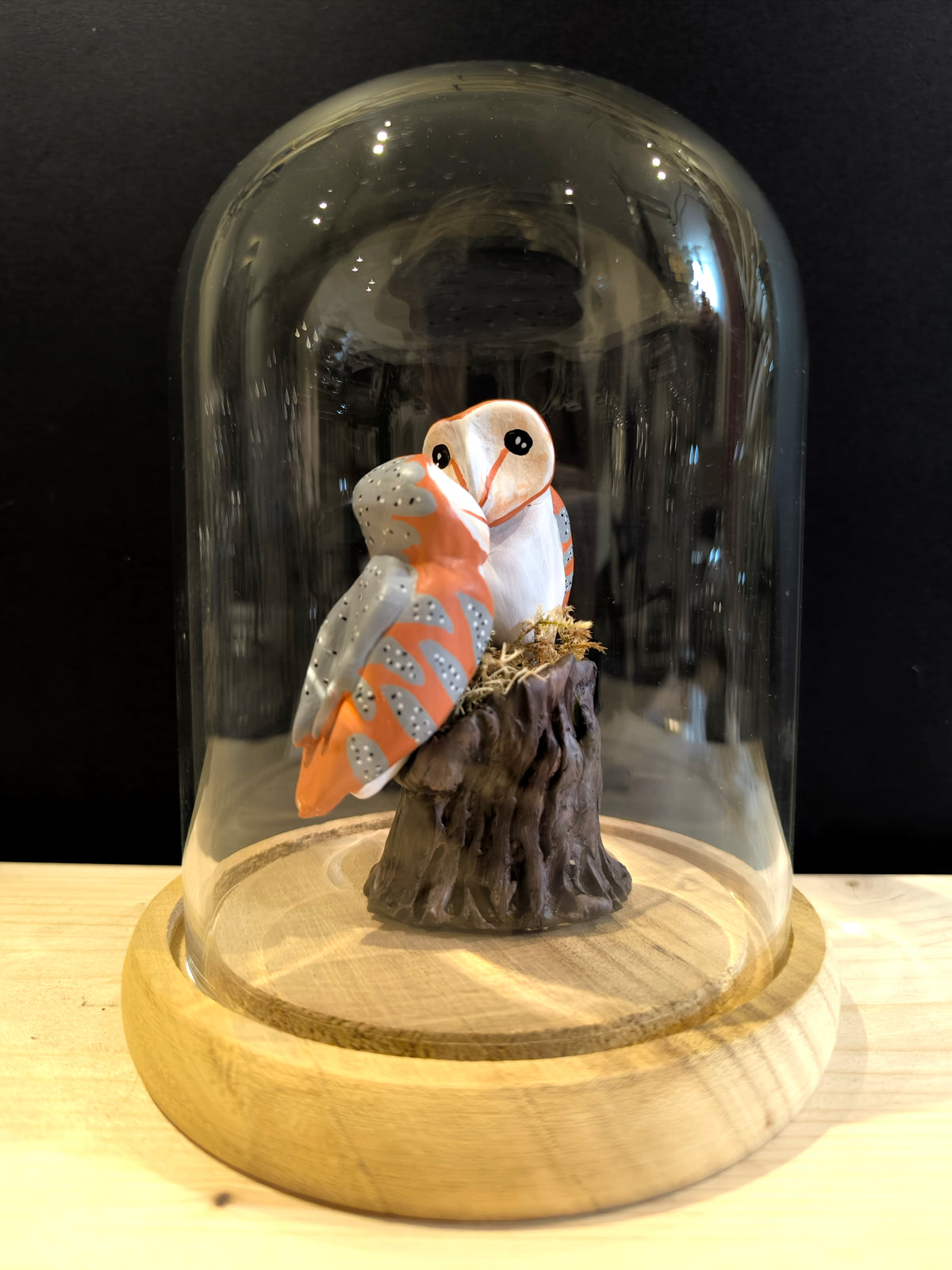 CHOUETTES EFFRAIES en parade nuptiale sous cloche de verre, façon cabinet de curiosité