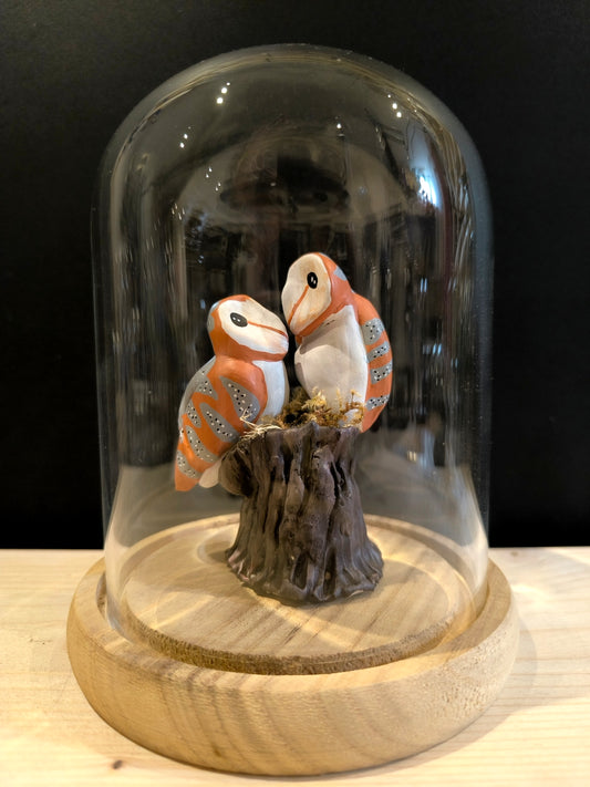 CHOUETTES EFFRAIES en parade nuptiale sous cloche de verre, façon cabinet de curiosité