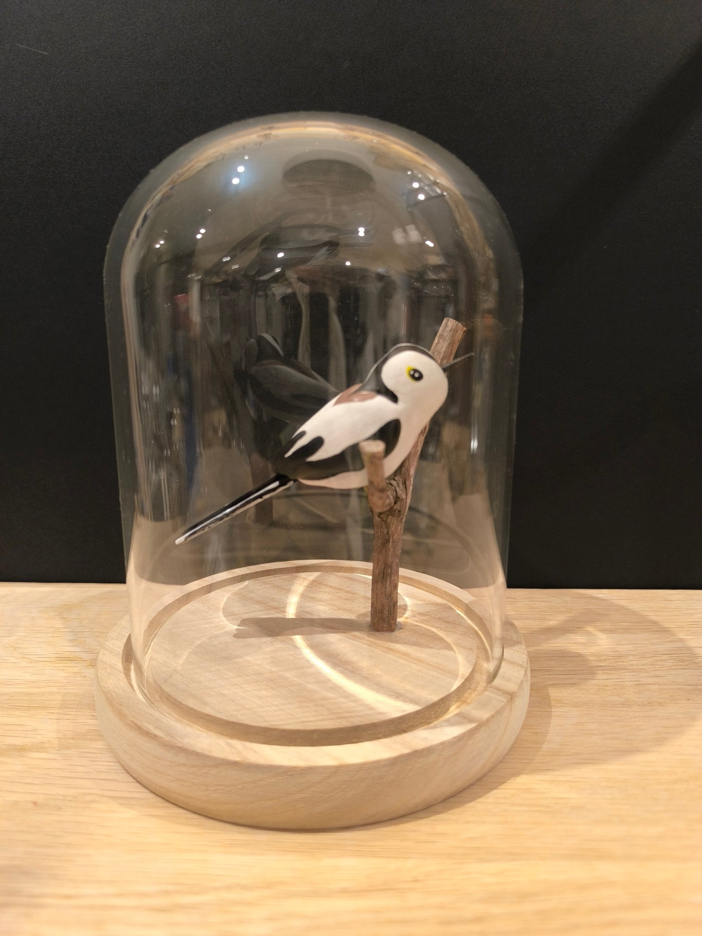 Figurine sculptée Orite à longue queue sous cloche de verre décorative façon cabinet de curiosité