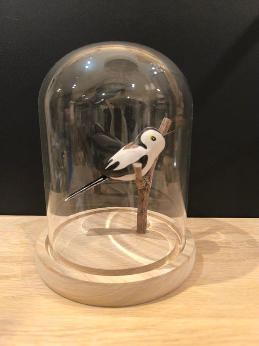 Figurine sculptée Orite à longue queue sous cloche de verre décorative façon cabinet de curiosité