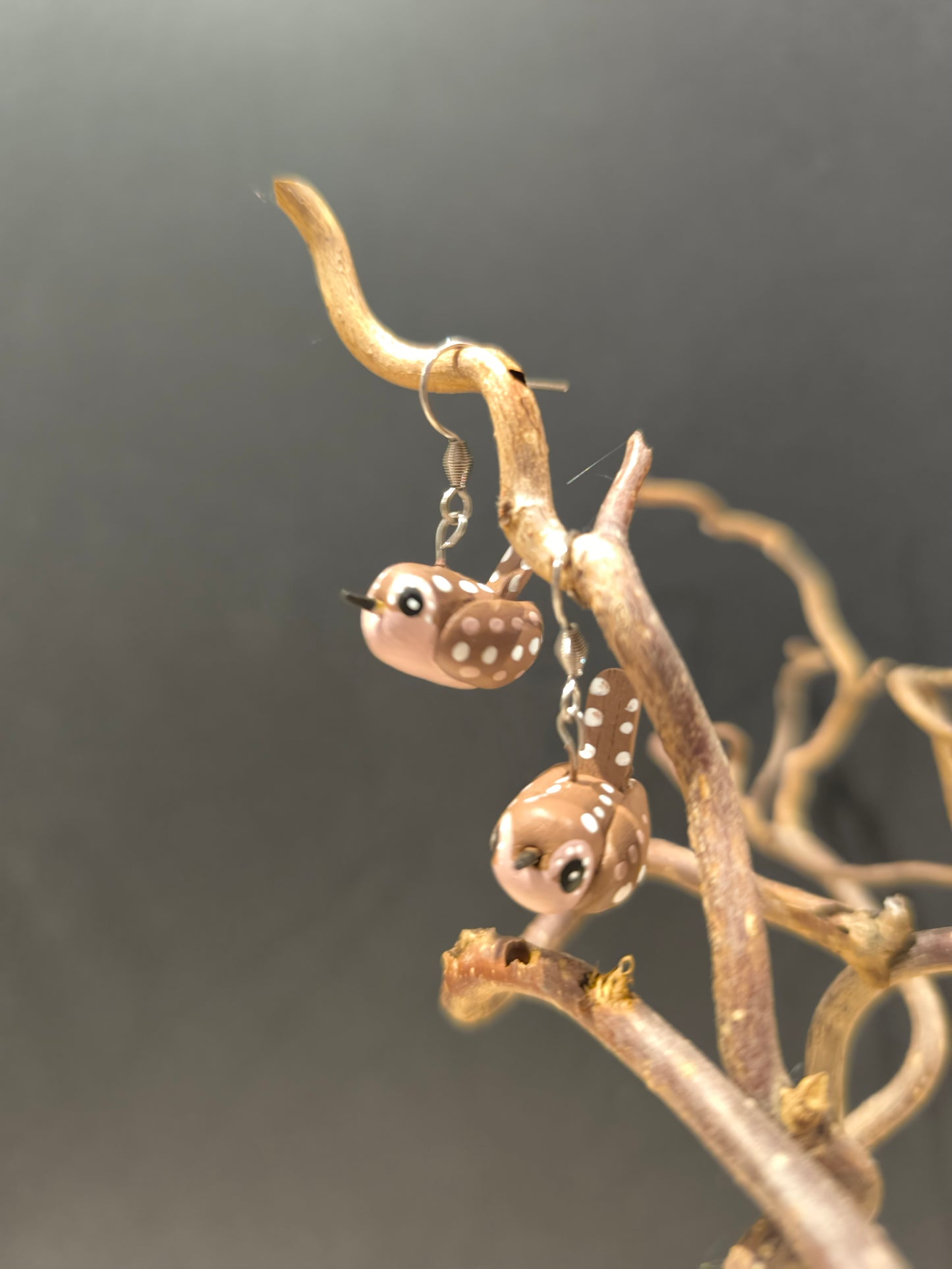 TROGLODYTE MIGNON - Boucles d'oreilles oiseaux