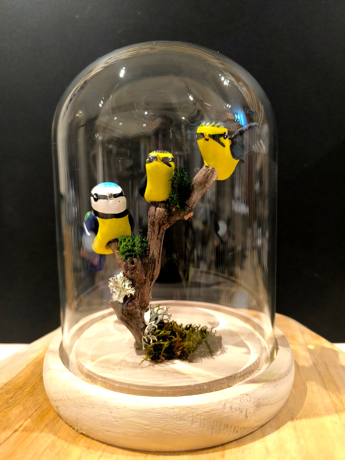 Mésange bleue et ses petits sous cloche