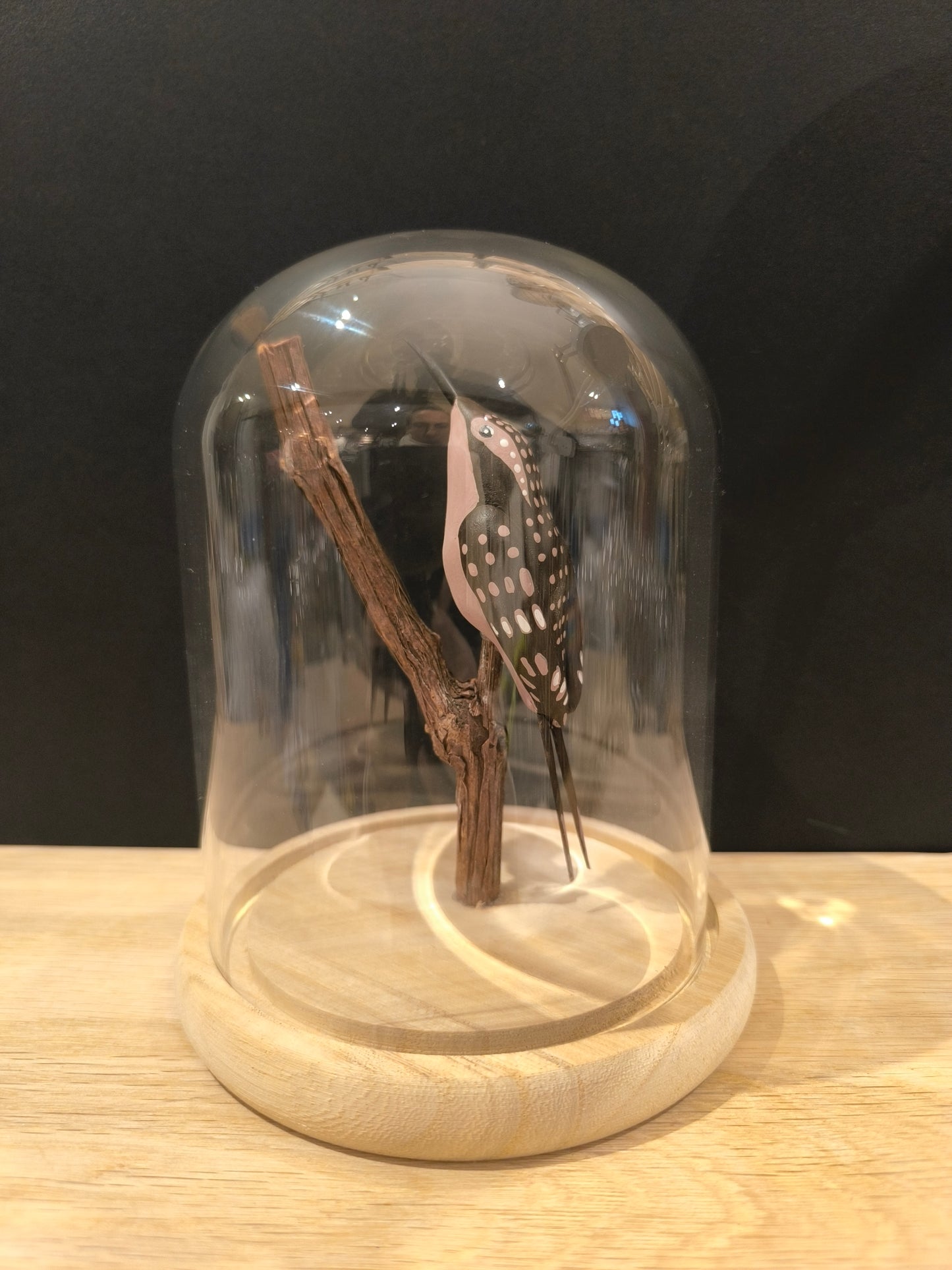 GRIMPEREAU DES JARDINS sous cloche de verre façon "Cabinet de curiosté"