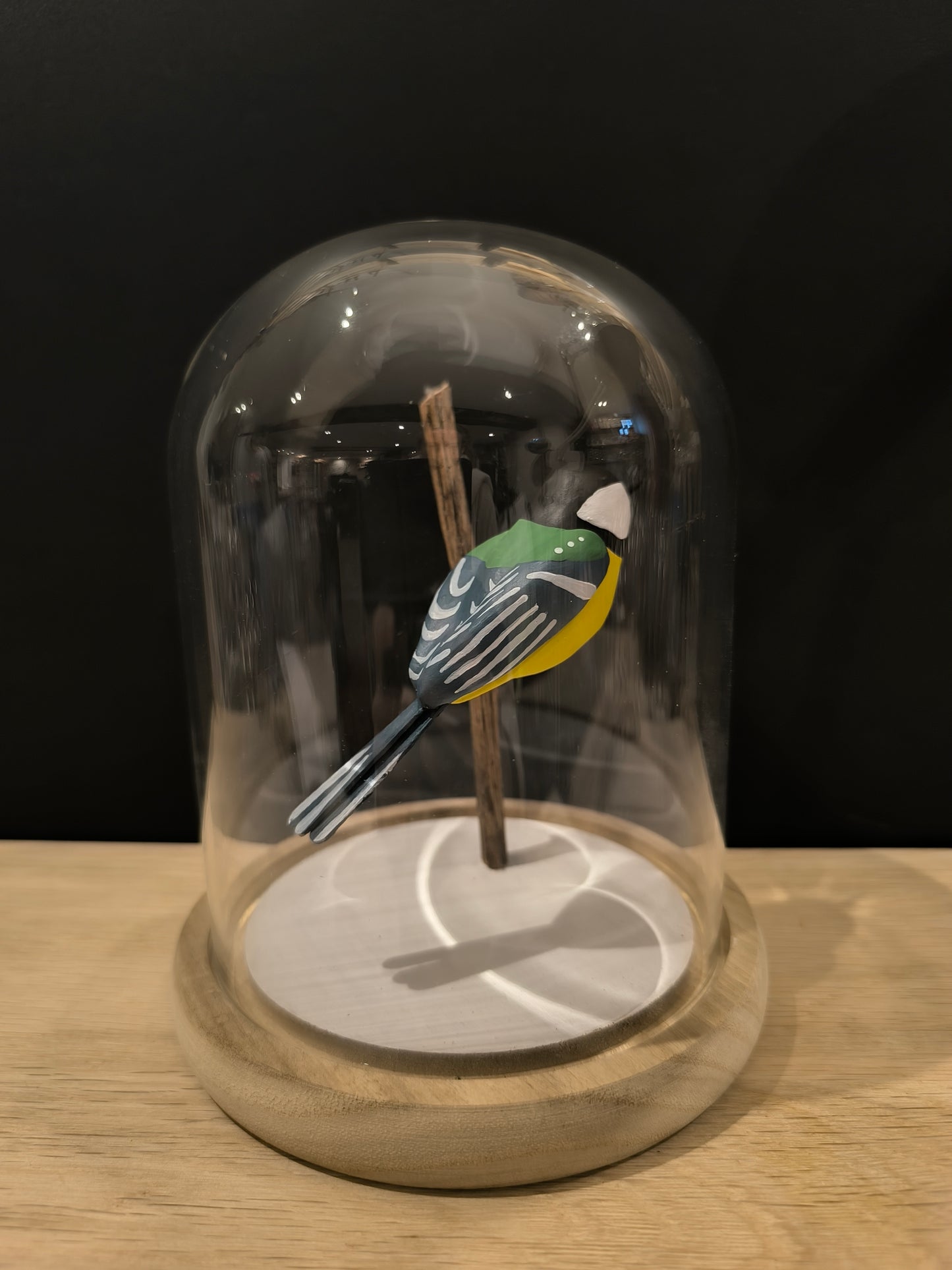 GREAT TIT under a glass bell jar in the style of a "Cabinet of Curiosities"