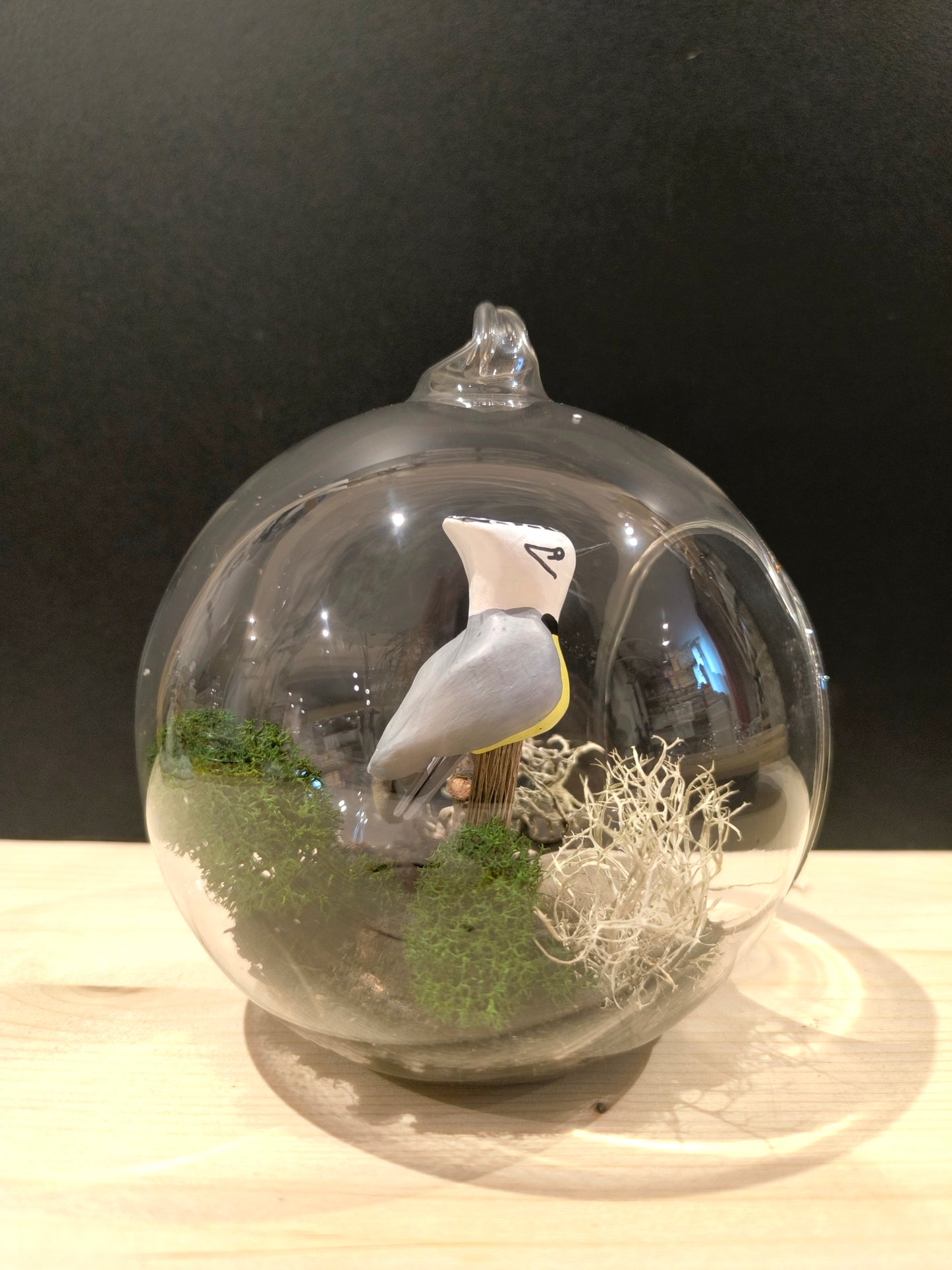 Mésange huppée sur sa branche- Grande bulle de Rêve