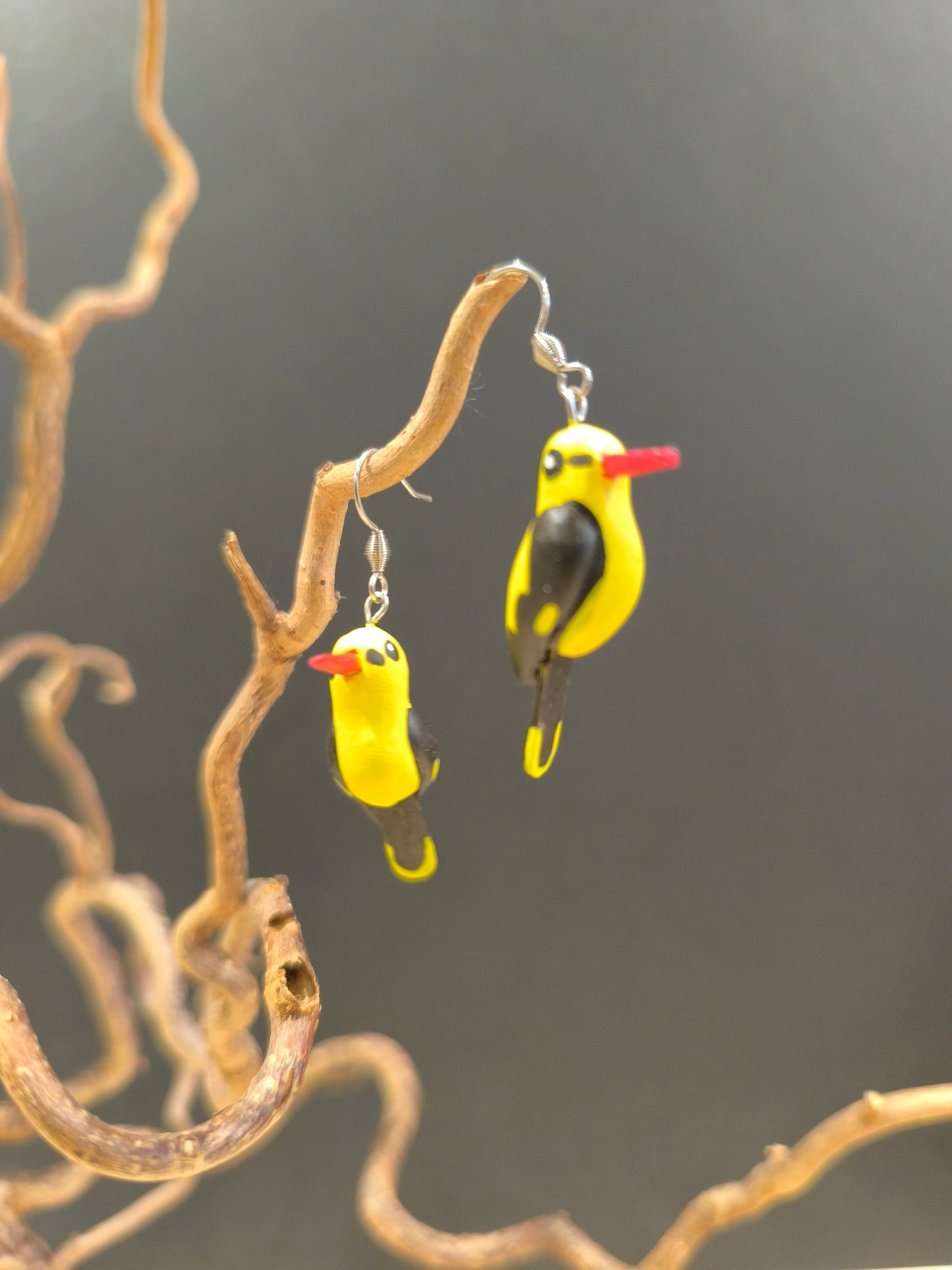 Loriot d'Europe- boucles d'oreilles oiseaux