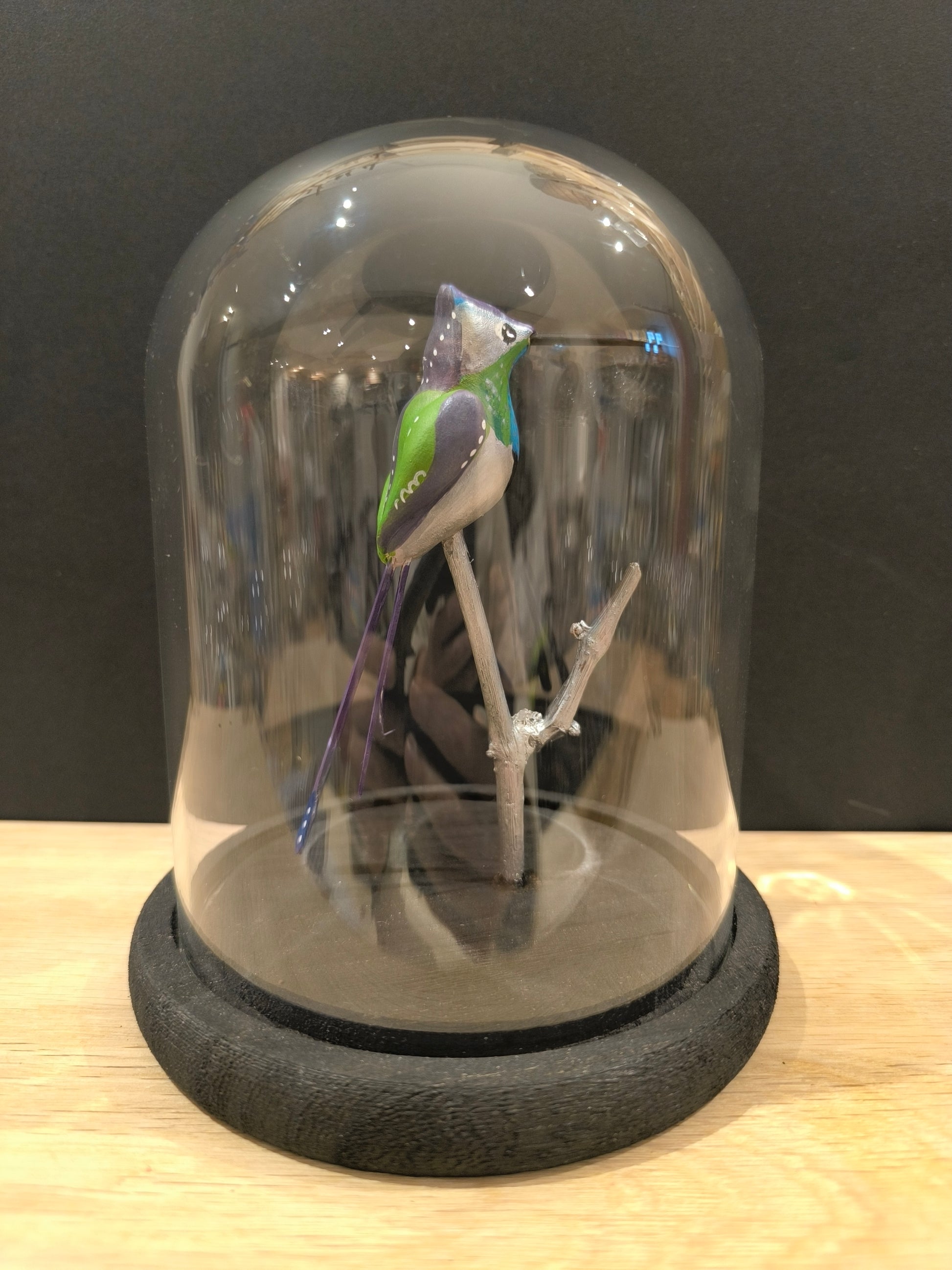 Figurine sculptée Colibri à queue en spatule sous cloche de verre
