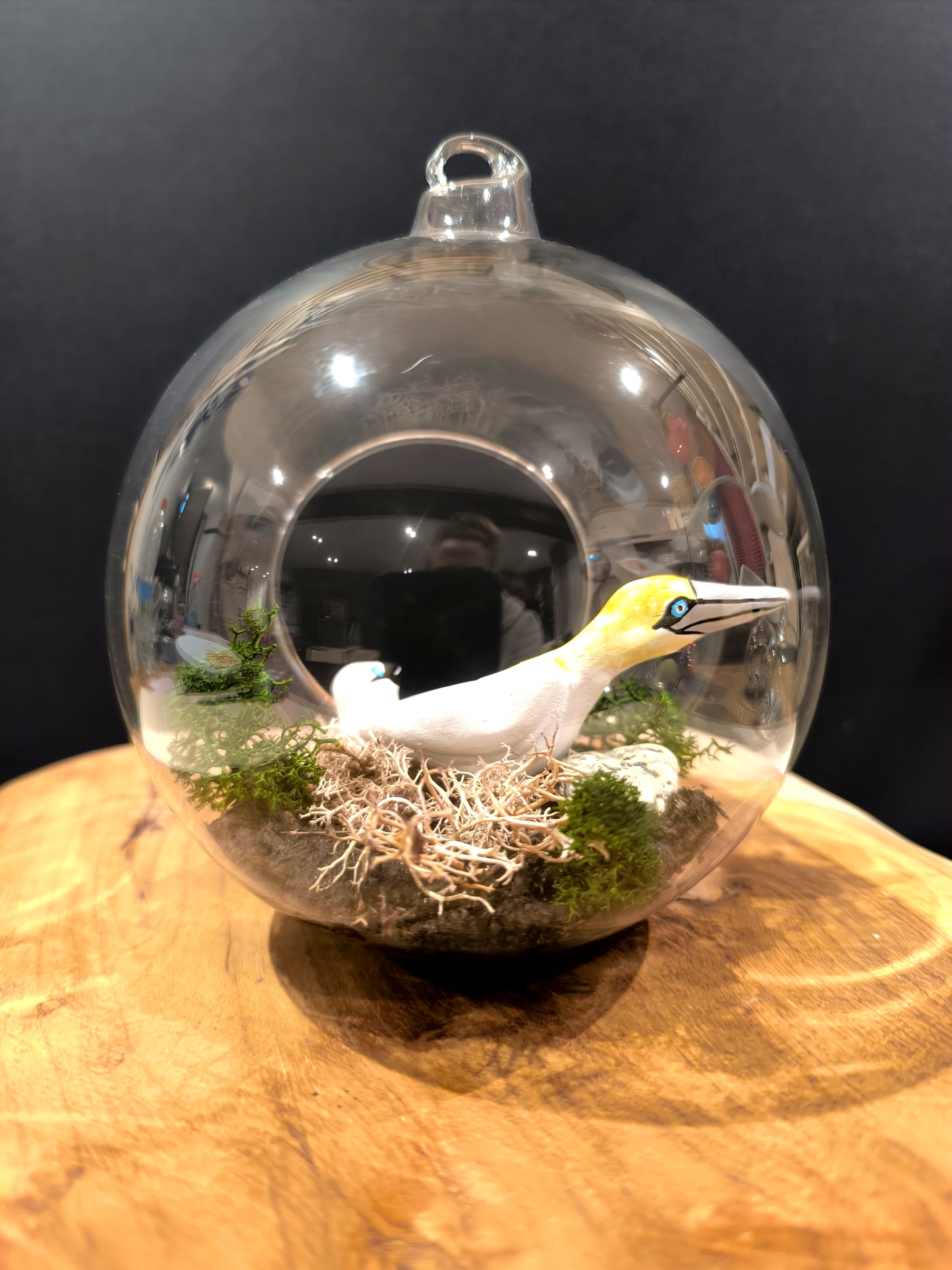 FOU DE BASSAN AVEC SON PETIT - Suspension "bulle de Rêve"