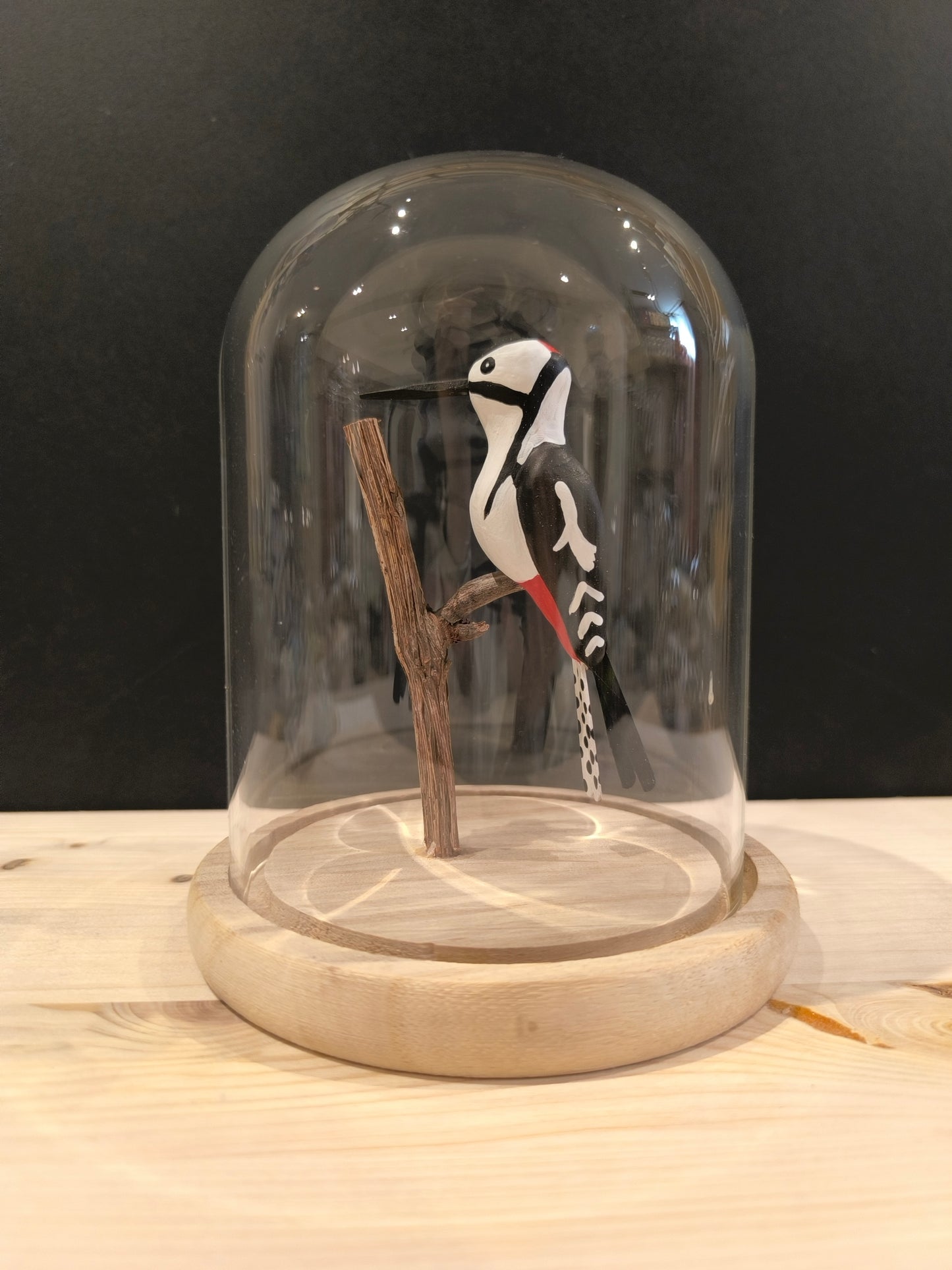 PIC EPEICHE sous cloche de verre façon "cabinet de curiosité"