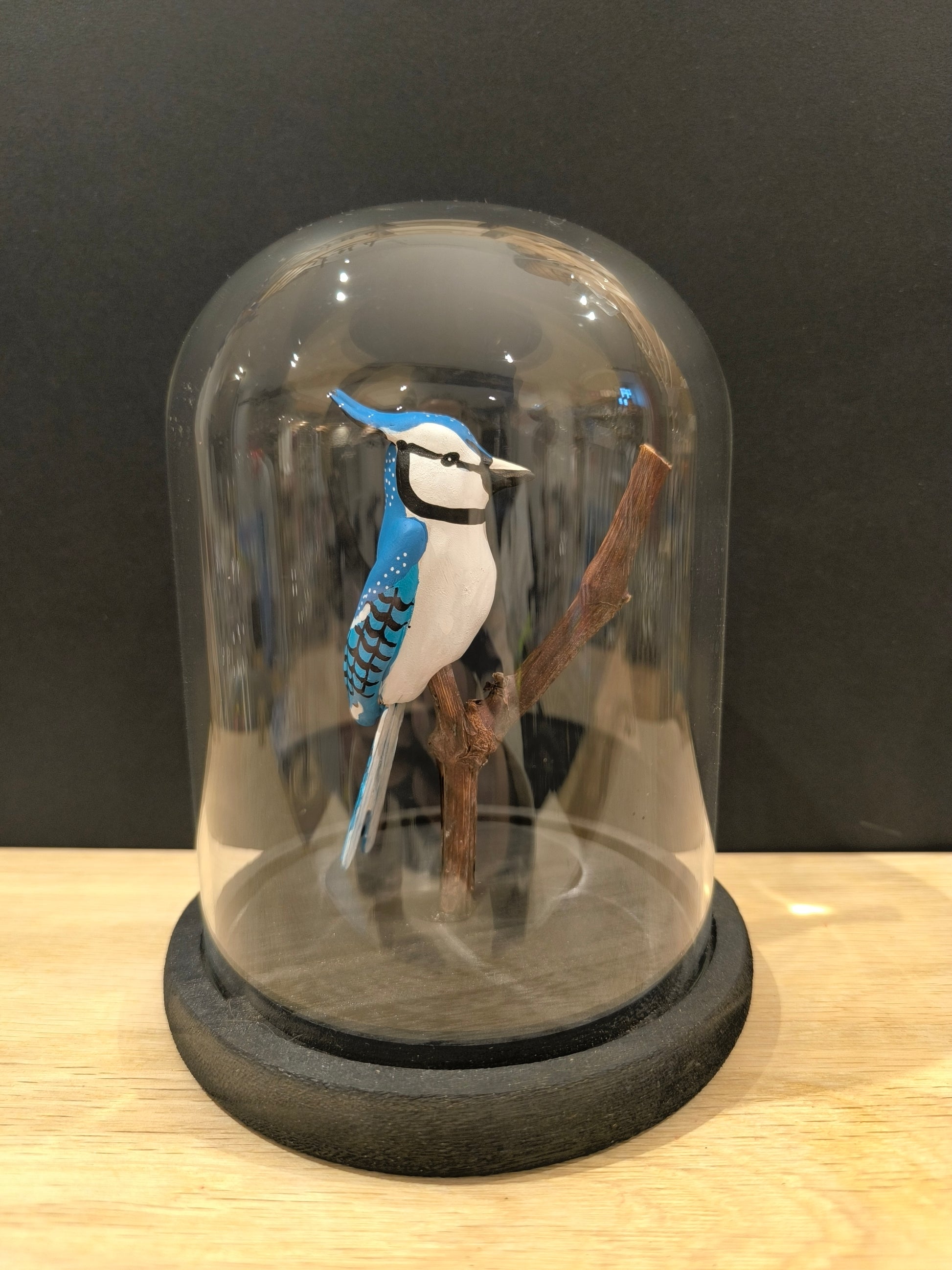 Figurine sculptée Geai bleu  sous cloche de verre décorative