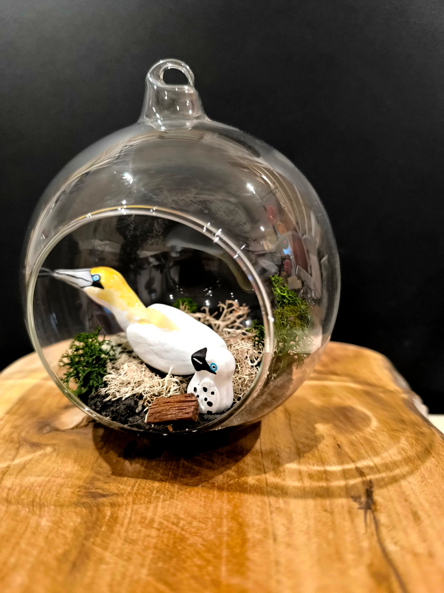 FOU DE BASSAN AVEC SON PETIT - Suspension "bulle de Rêve"