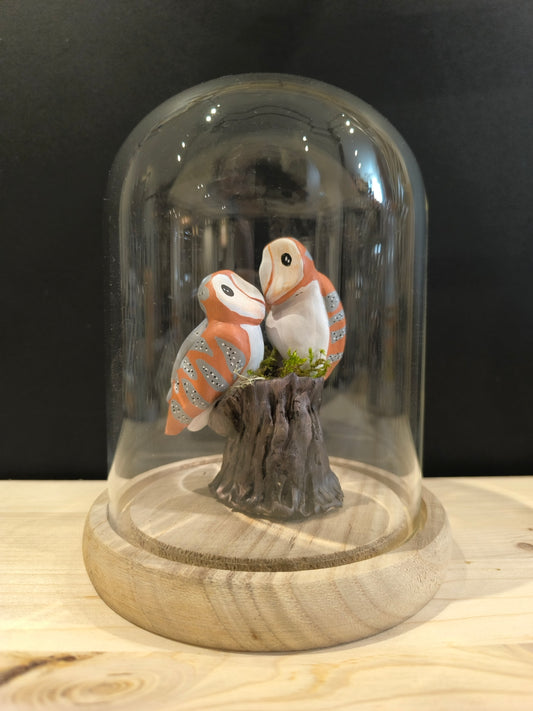 CHOUETTES EFFRAIES en parade nuptiale sous cloche de verre, façon cabinet de curiosité
