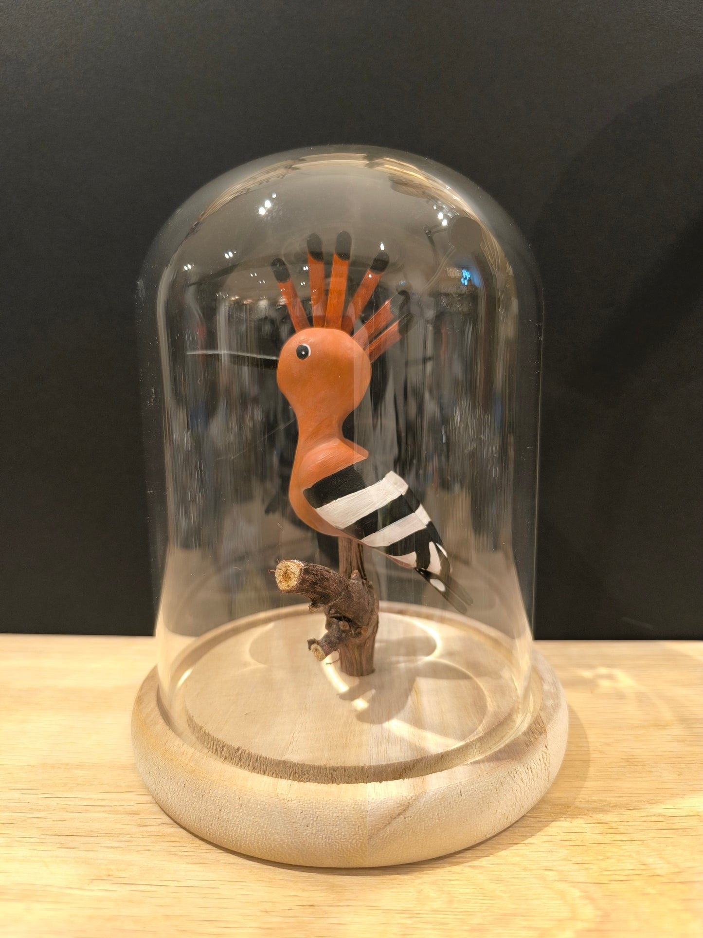HUPPE FASCIEE Sous cloche de verre, façon "cabinet de curiosité"