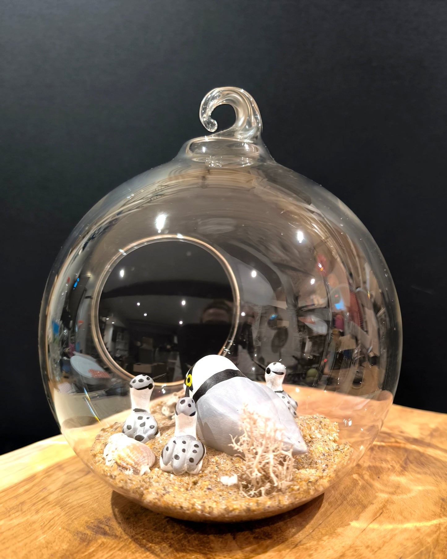 Petit gravelot avec ses petits- Grande bulle de Rêve