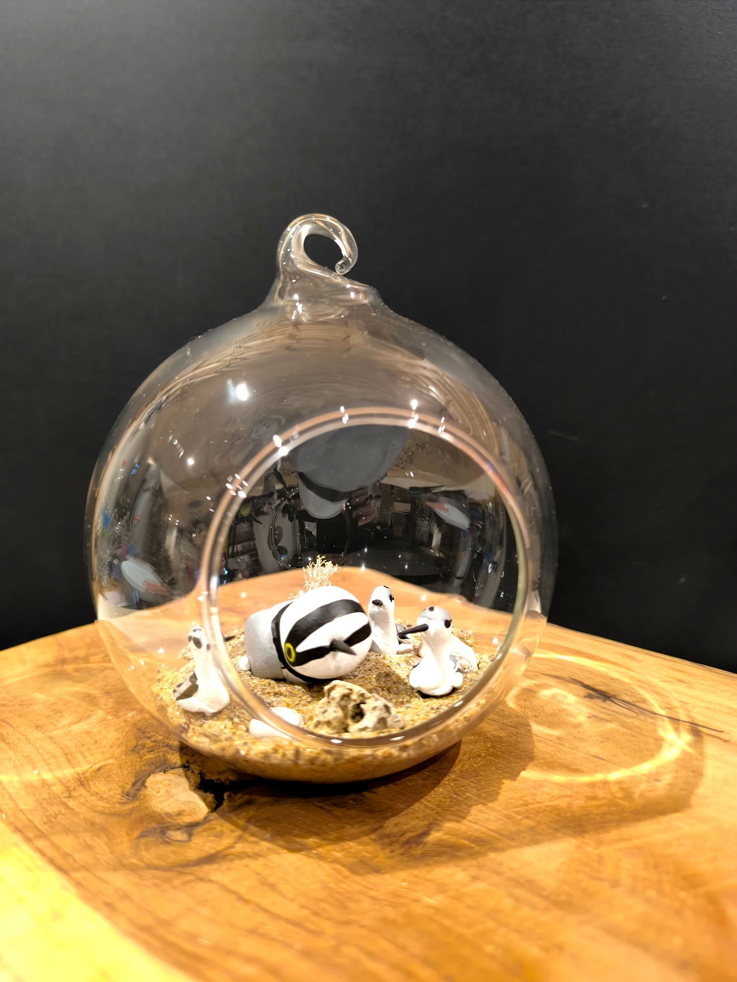 Petit gravelot avec ses petits- Grande bulle de Rêve