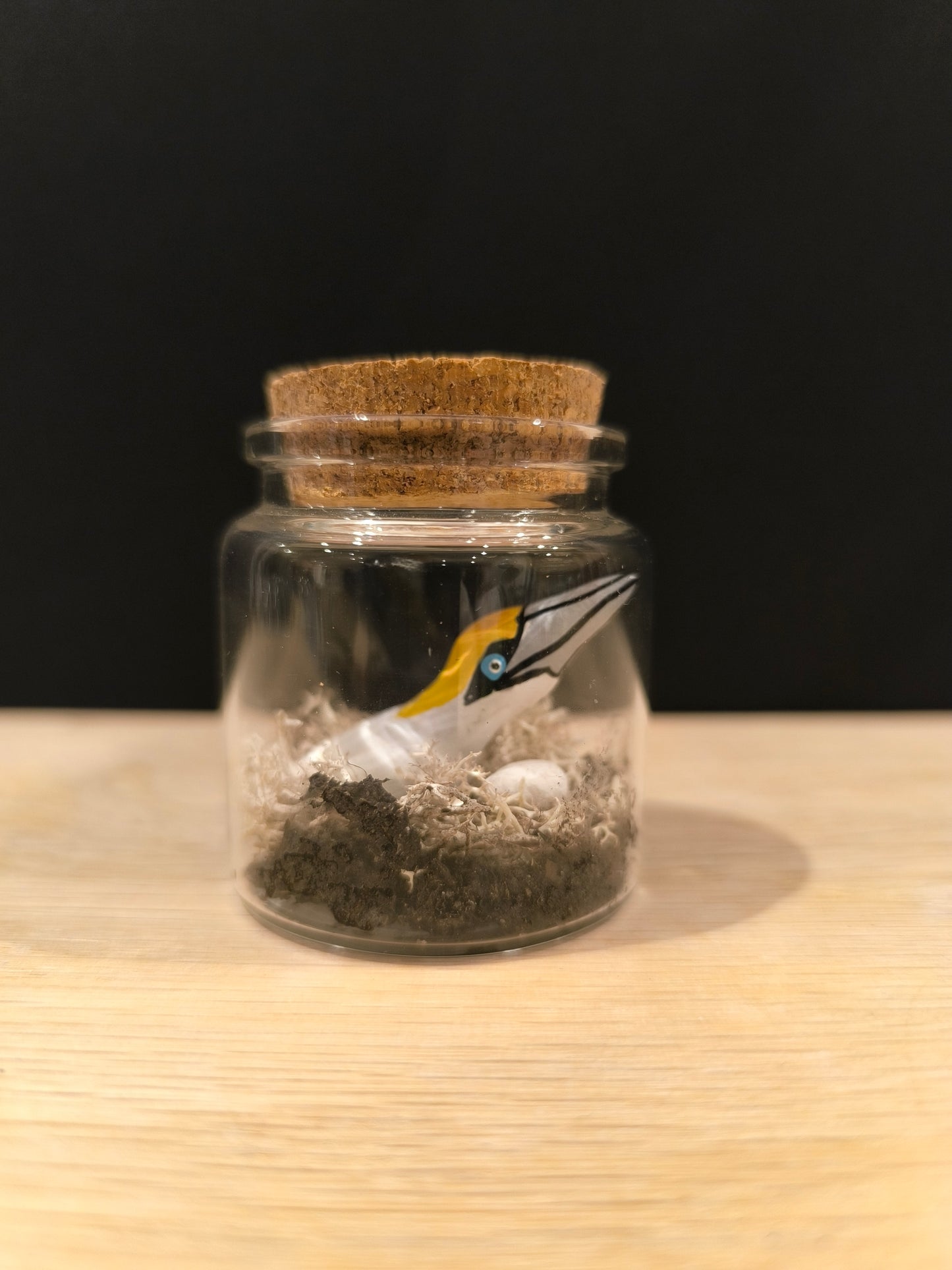 Fou de bassan avec son oeuf-Miniature sous flacon "Minuscule"