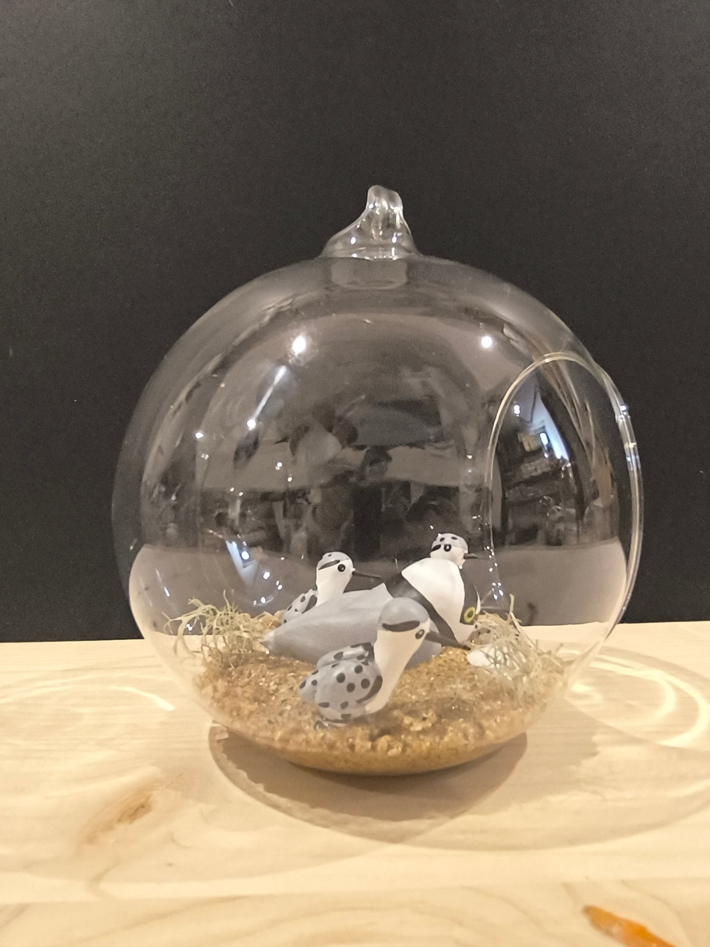 Petit gravelot avec ses petits- Grande bulle de Rêve