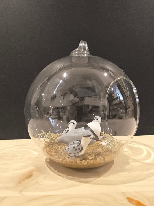 Petit gravelot avec ses petits- Grande bulle de Rêve
