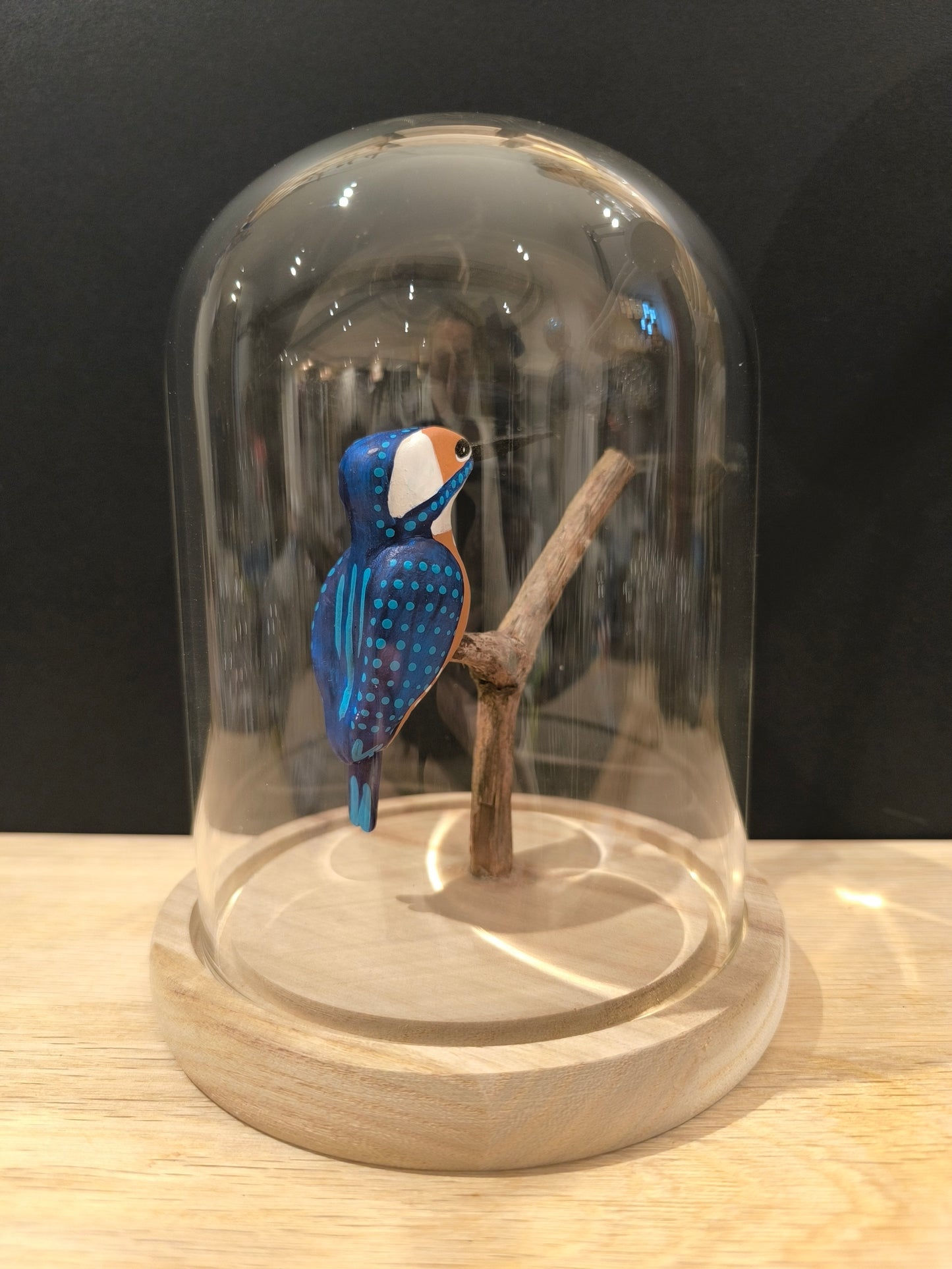 KINGFISHER under a glass bell jar, "curiosity cabinet" style