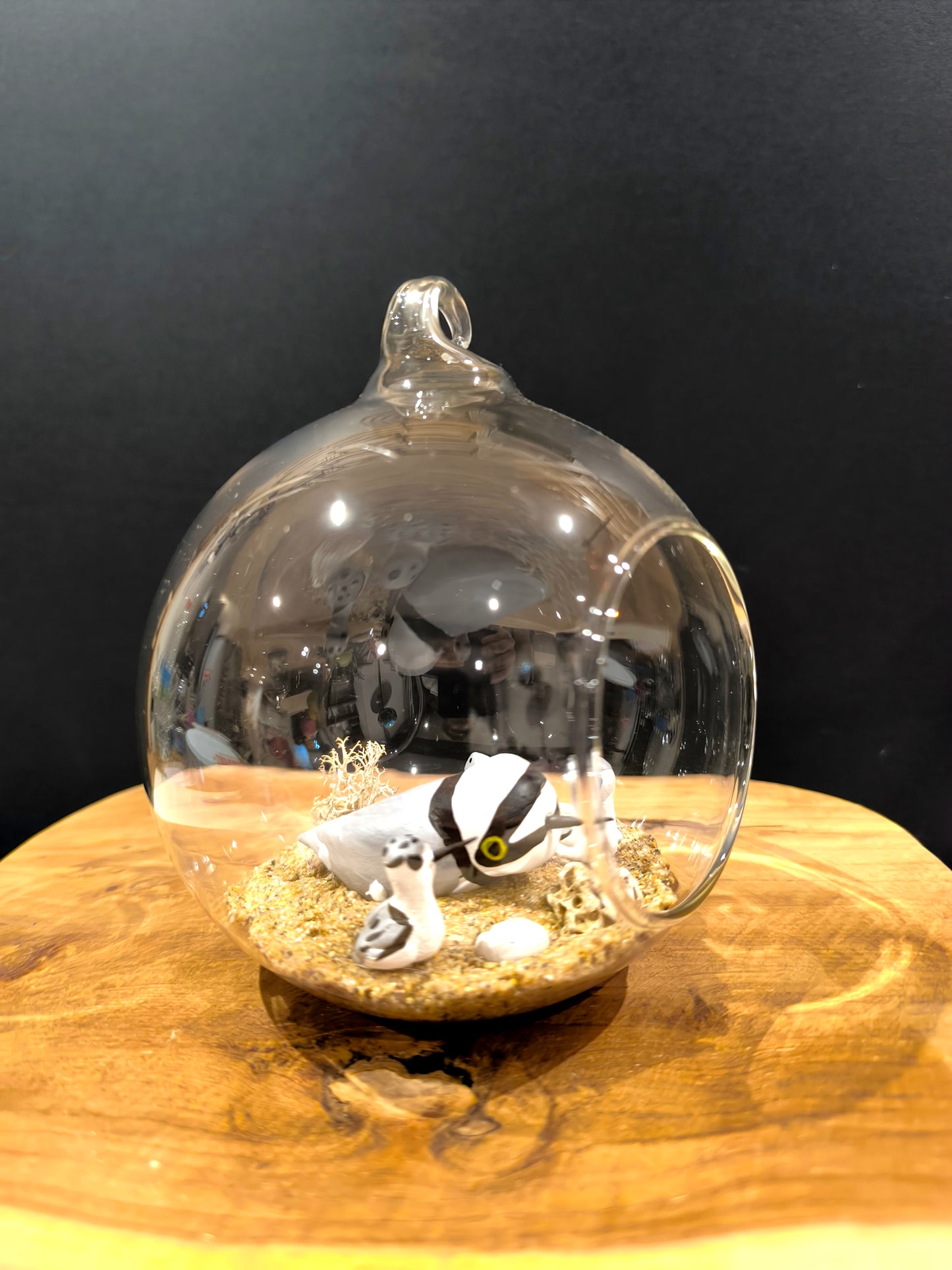 Petit gravelot avec ses petits- Grande bulle de Rêve